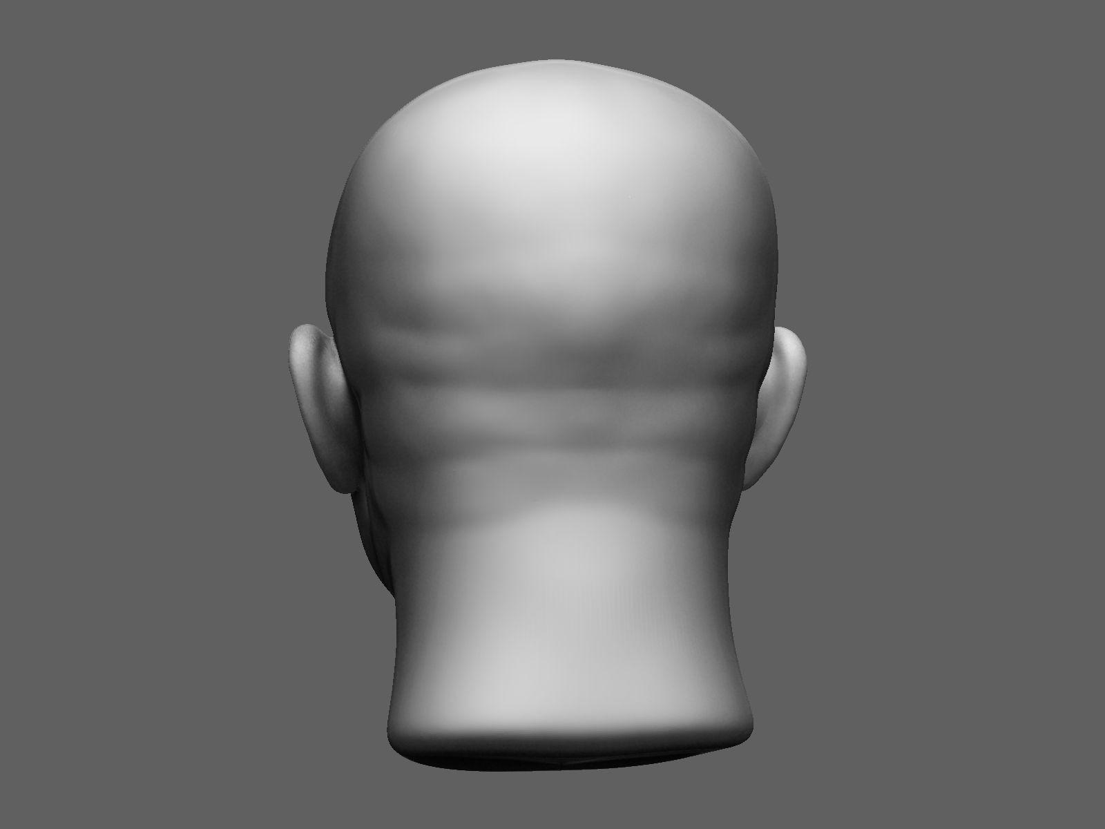 European male head sculpt 2 3D model_7