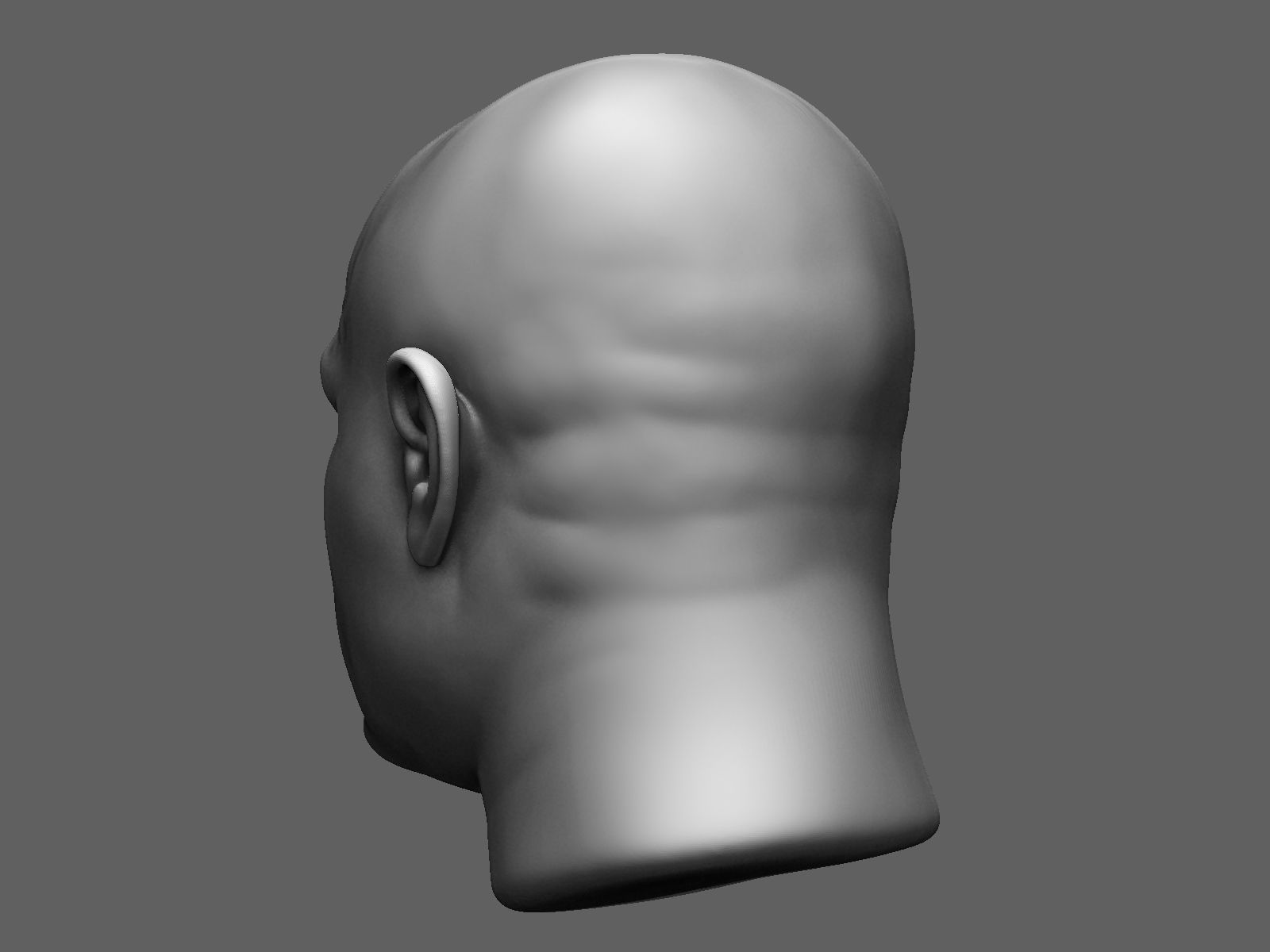 European male head sculpt 2 3D model_6