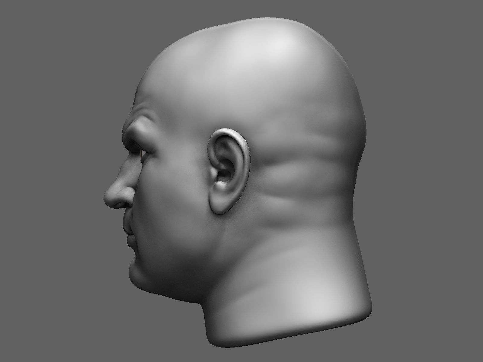 European male head sculpt 2 3D model_5