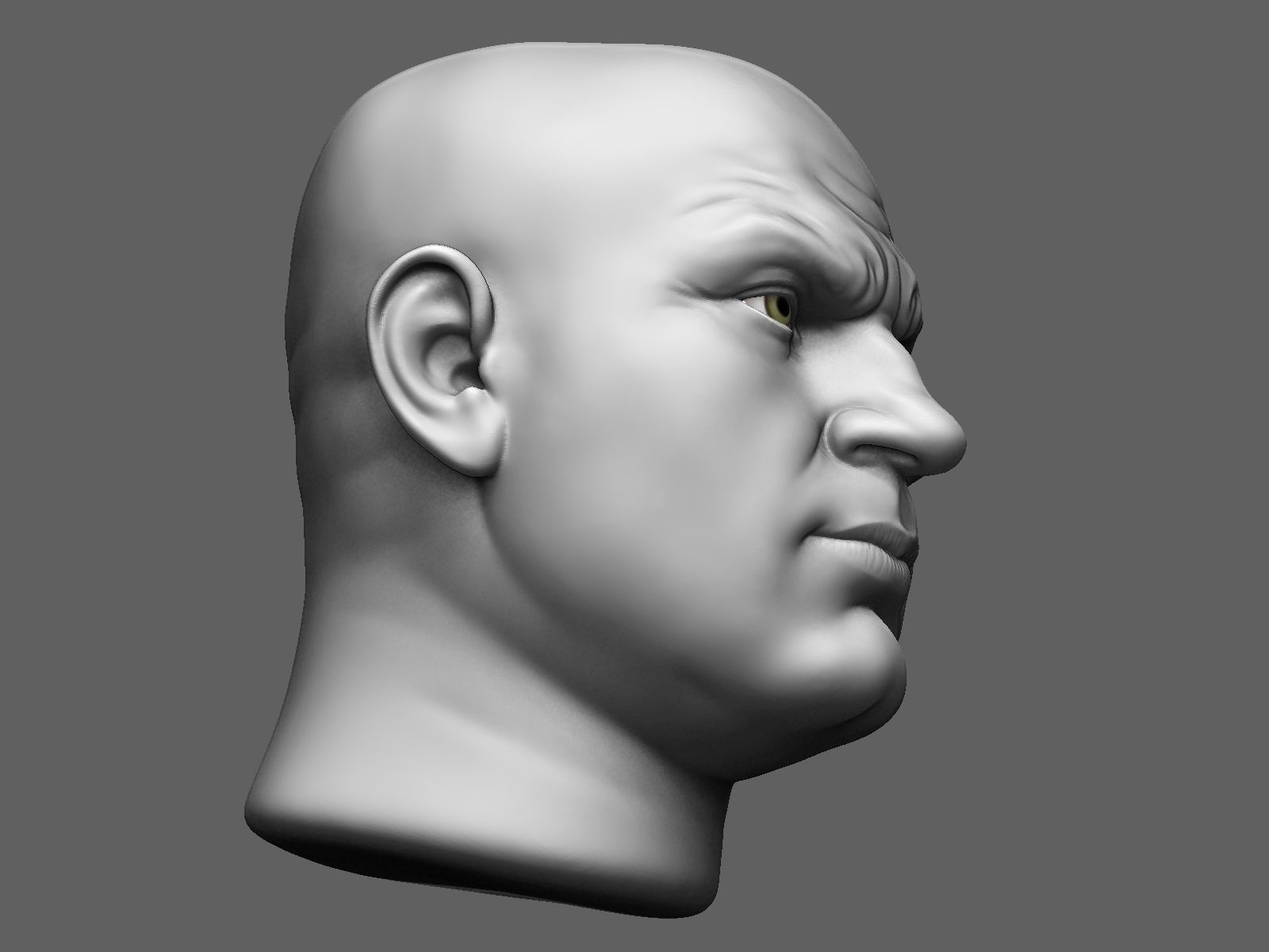 European male head sculpt 2 3D model_11