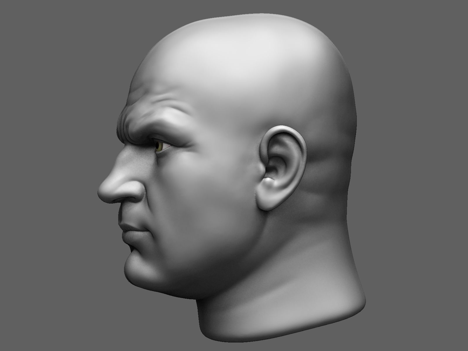 European male head sculpt 2 3D model_4
