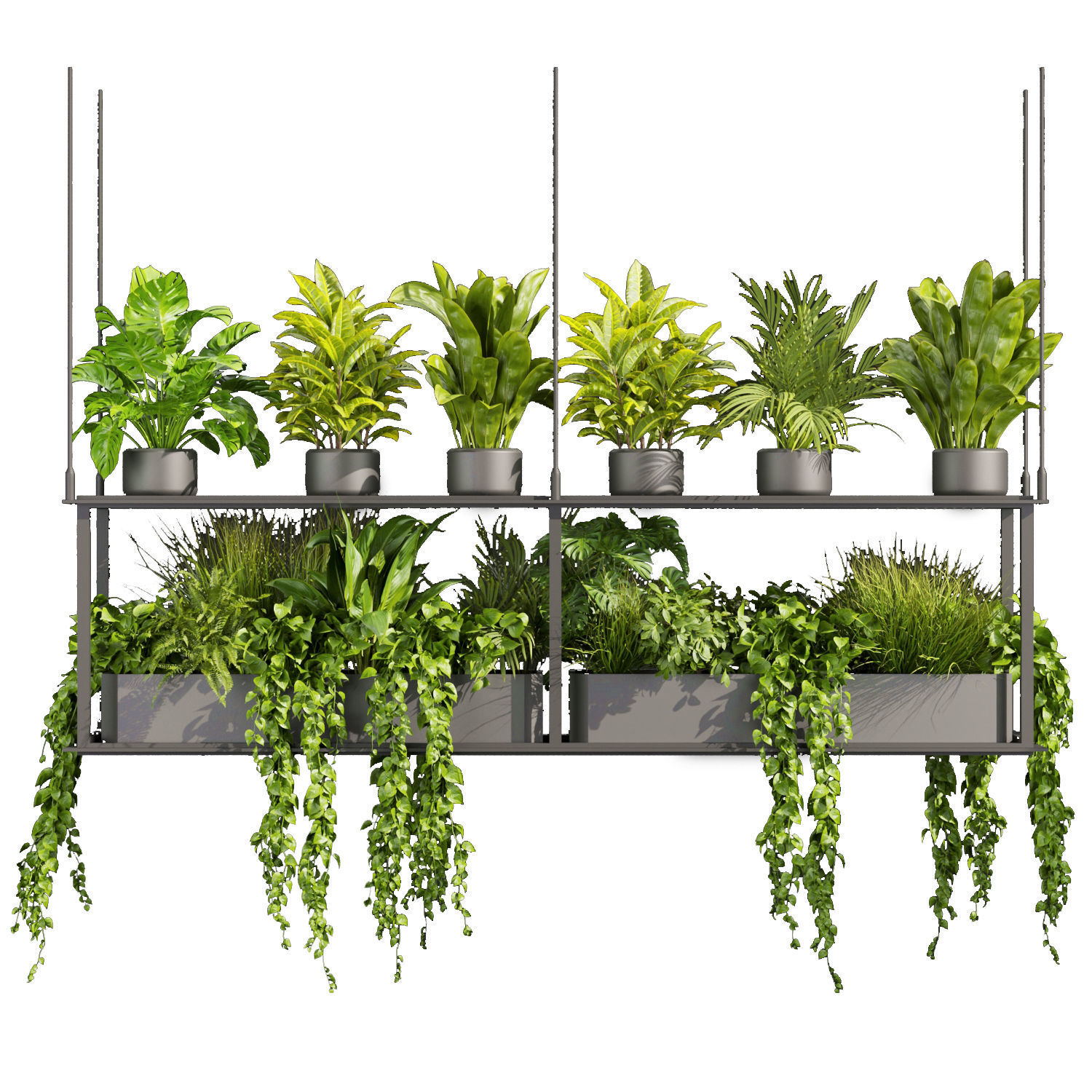 Collection plant vol 439 - hanging - ampelous - palm -  - pothos 3D model_1