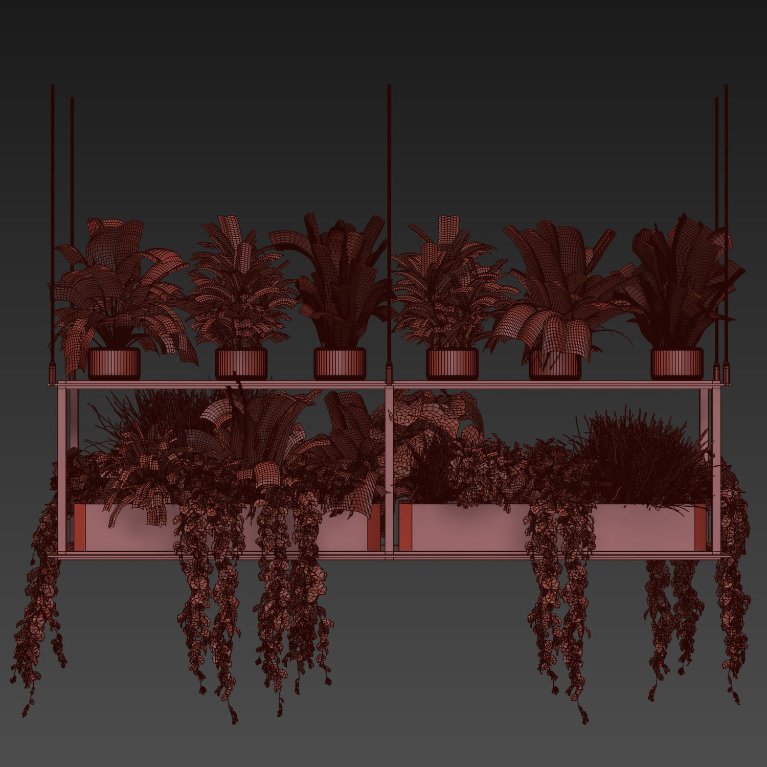 Collection plant vol 439 - hanging - ampelous - palm -  - pothos 3D model_6
