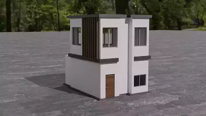 Simple Modern House 1
