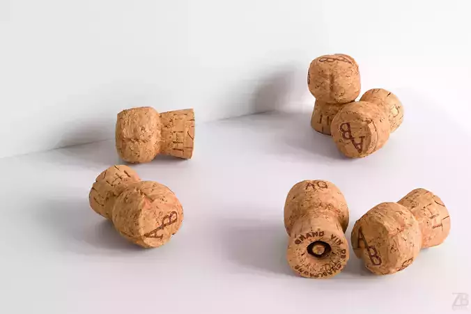 Cork  3D model