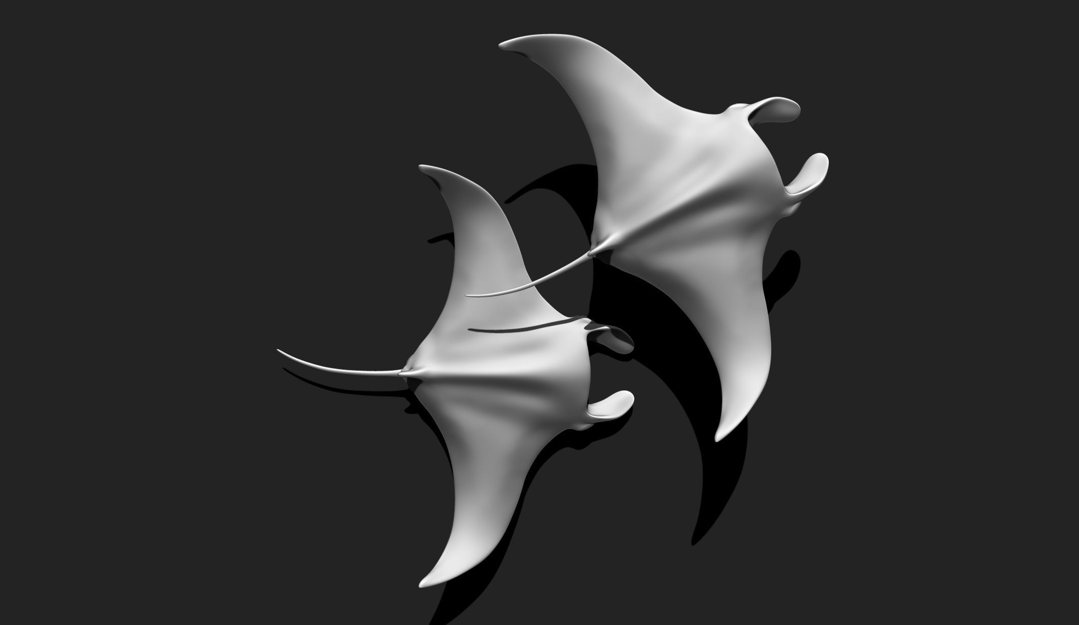 Manta Ray - Mantas - 3D Print - Aquarium 3D print model_1