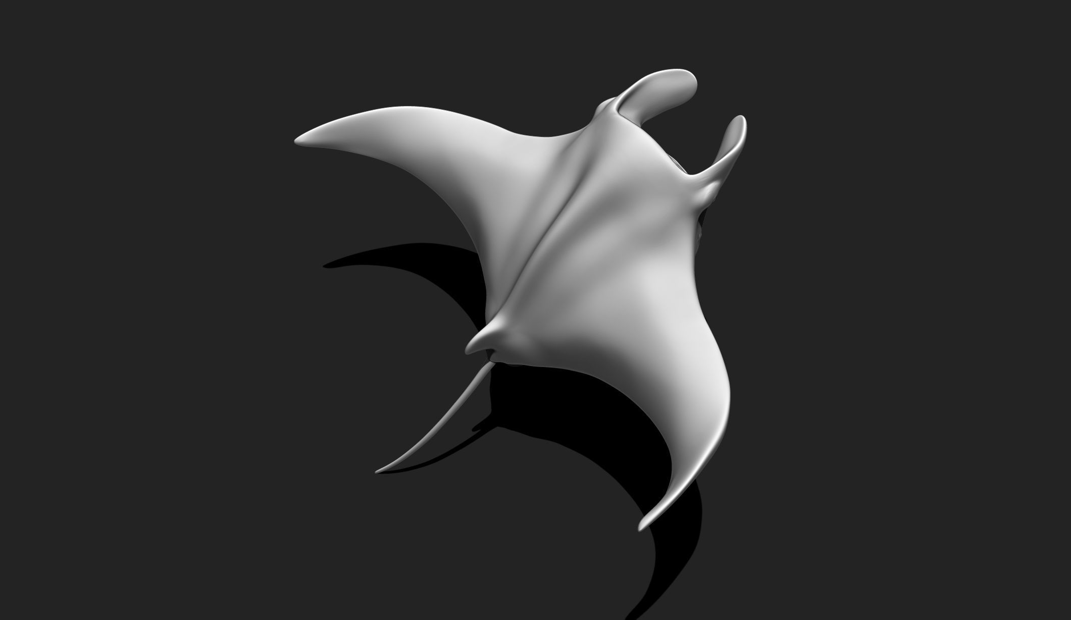 Manta Ray - Mantas - 3D Print - Aquarium 3D print model_2