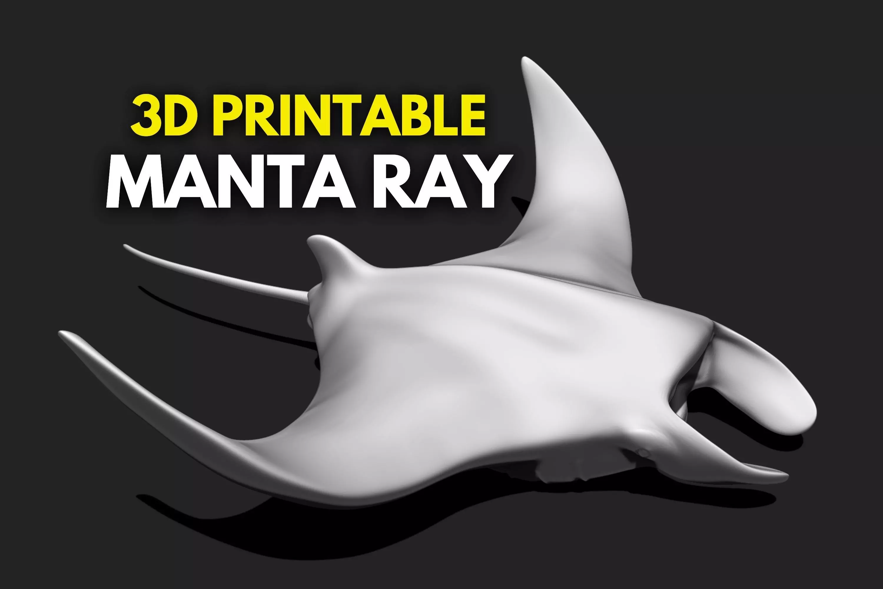 Manta Ray - Mantas - 3D Print - Aquarium 3D print model_0