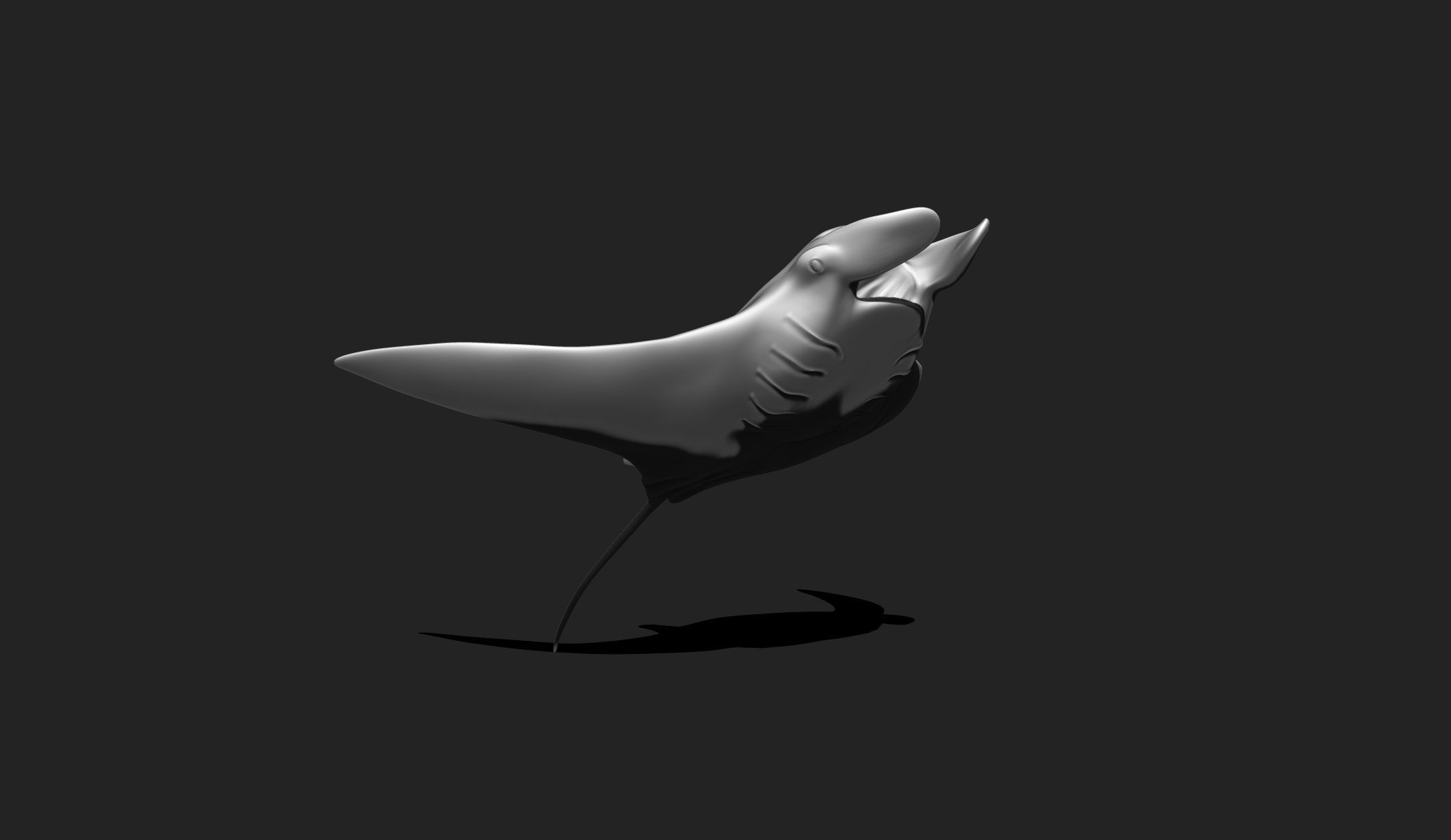 Manta Ray - Mantas - 3D Print - Aquarium 3D print model_5
