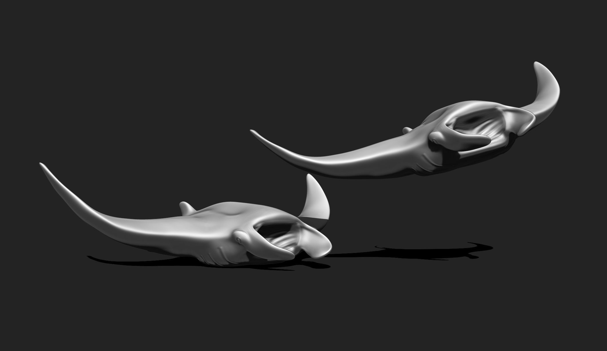 Manta Ray - Mantas - 3D Print - Aquarium 3D print model_6