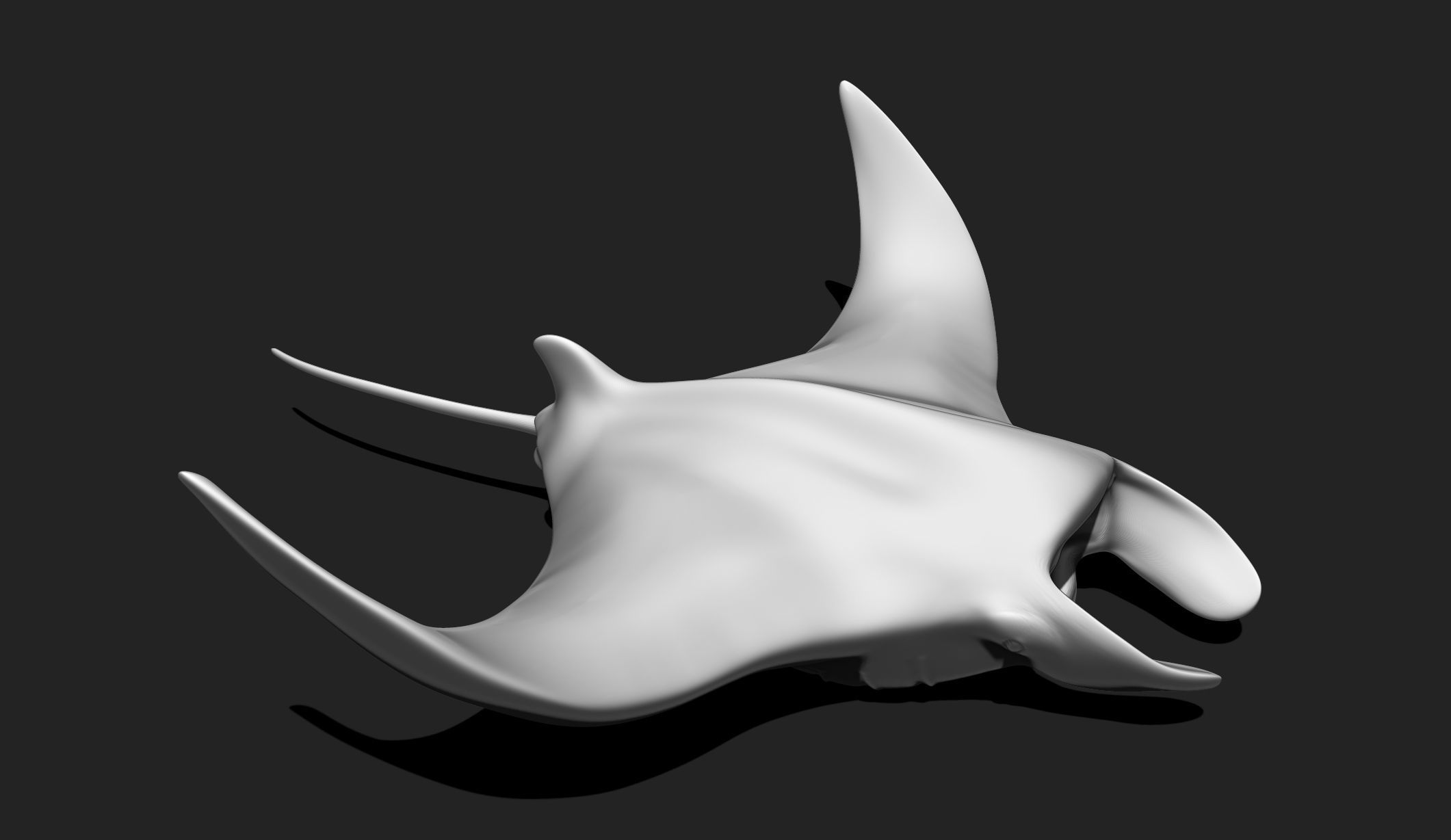 Manta Ray - Mantas - 3D Print - Aquarium 3D print model_9