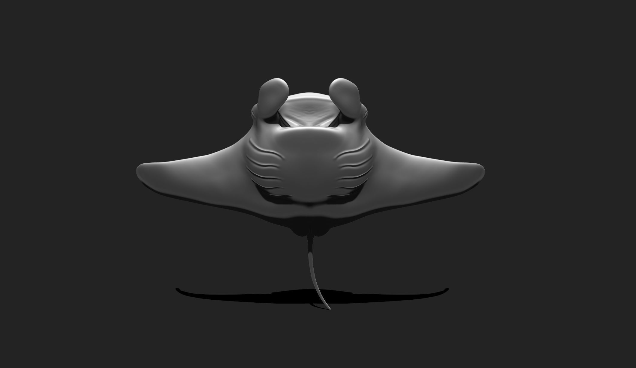 Manta Ray - Mantas - 3D Print - Aquarium 3D print model_7