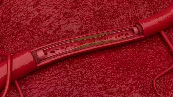 blood vessels animation