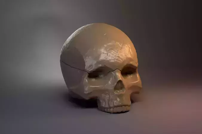 Skull-shaped box