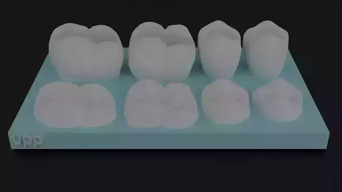 Dental Upper  Arch  Models 3D print model 3D print model