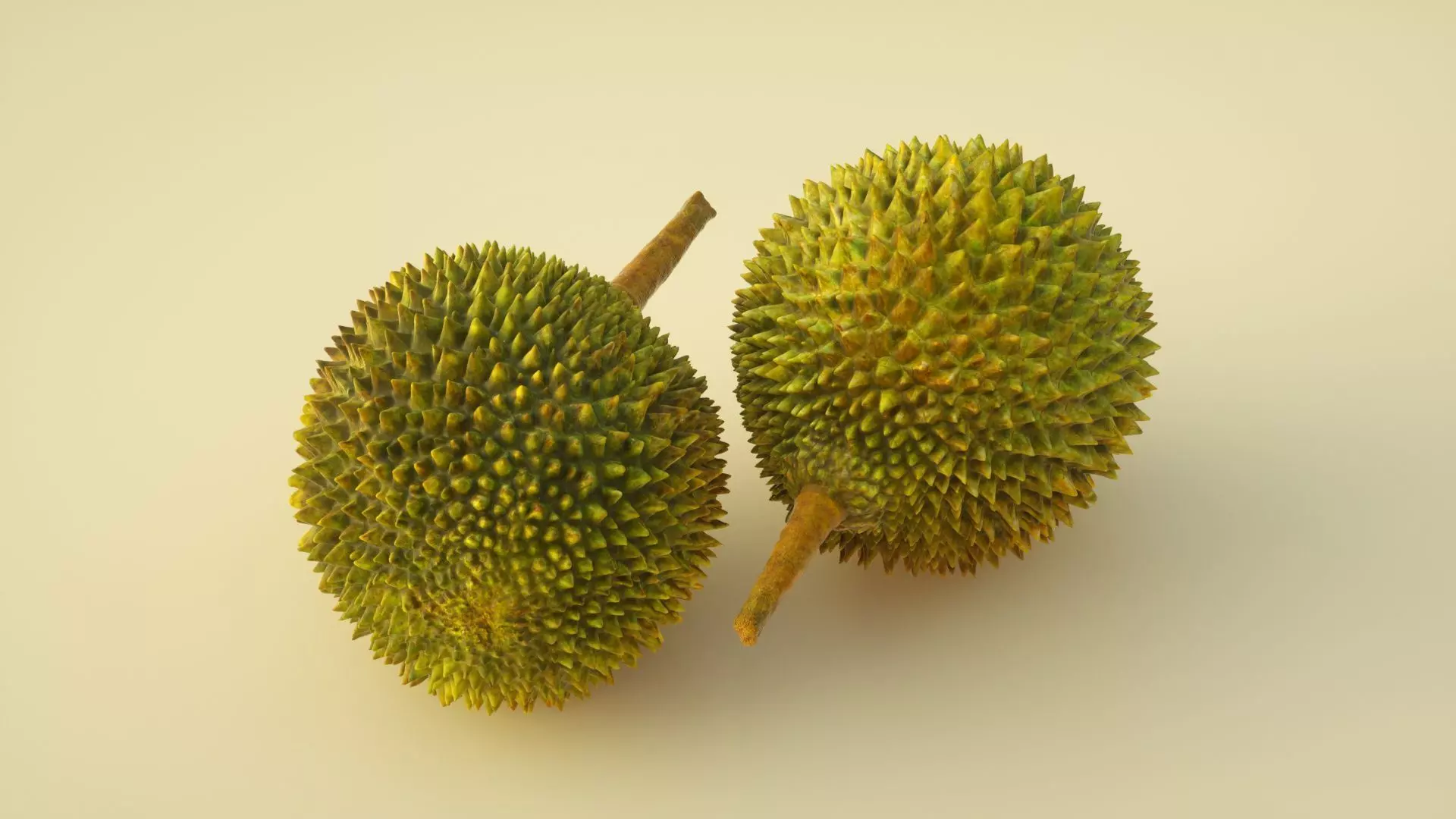 durian two kiwi fruit 3D model_0