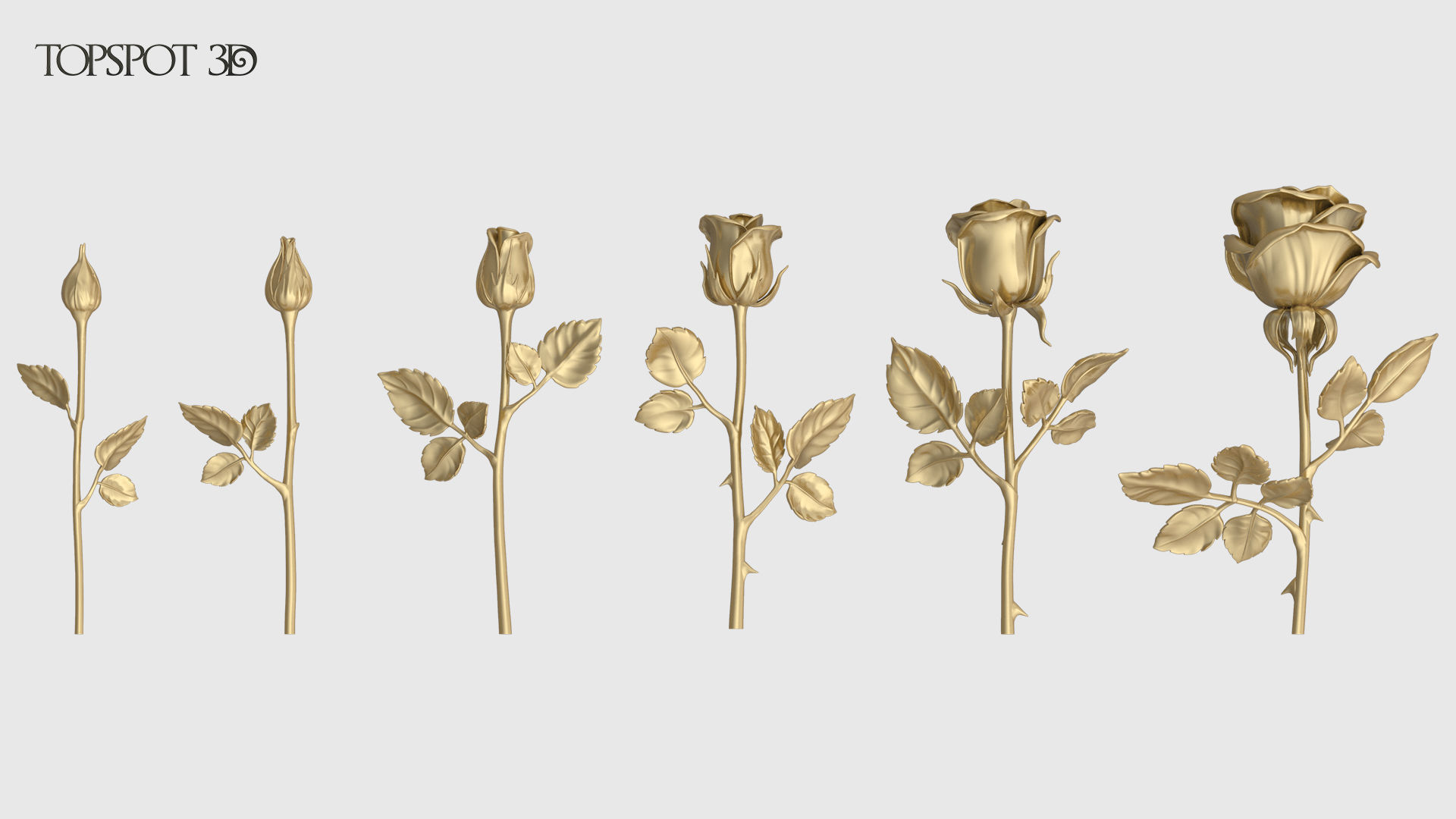 Rose Flowers Pack 3D model 3D printable | CGTrader