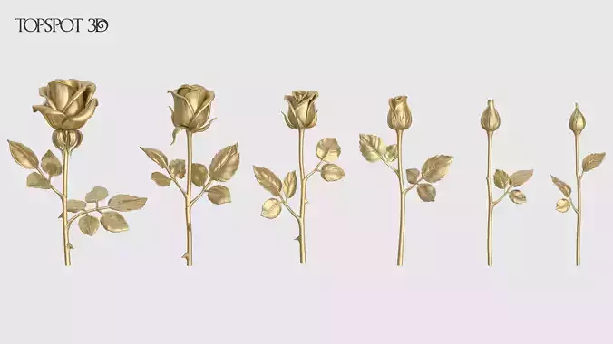 Rose Flowers Pack 3D print model