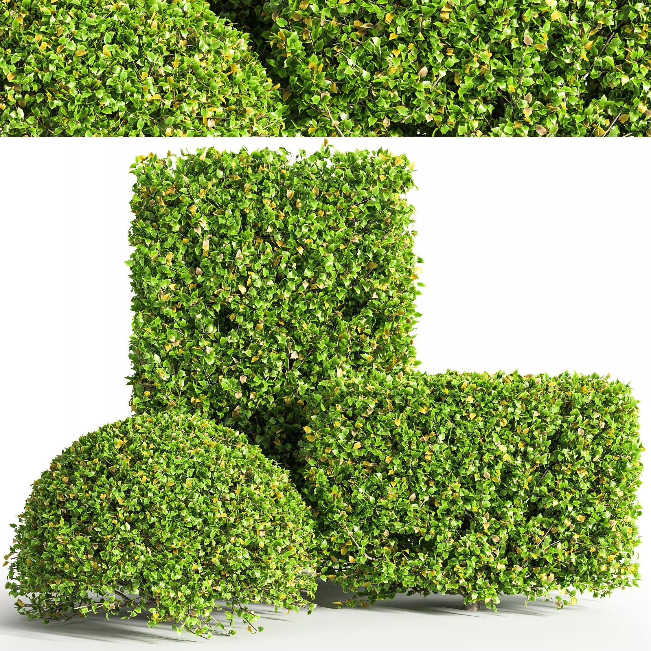 push04 topiary hedges - topiary hedges 3D model_0