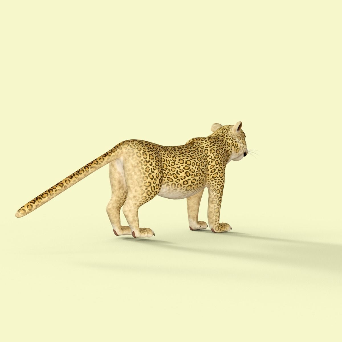 Cartoon Leopard Rigged 3D model_6