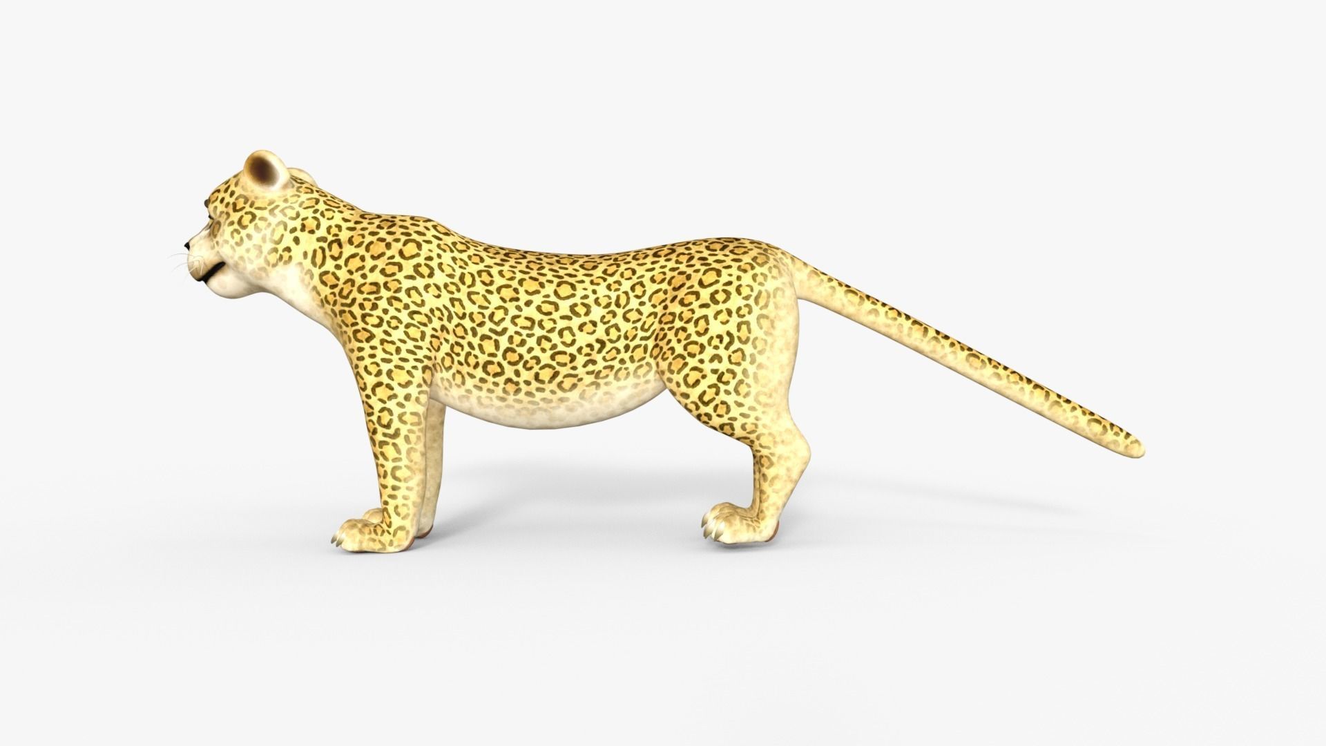 Cartoon Leopard Rigged 3D model_11