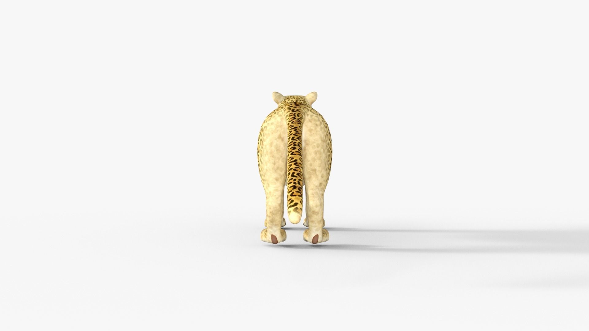 Cartoon Leopard Rigged 3D model_13