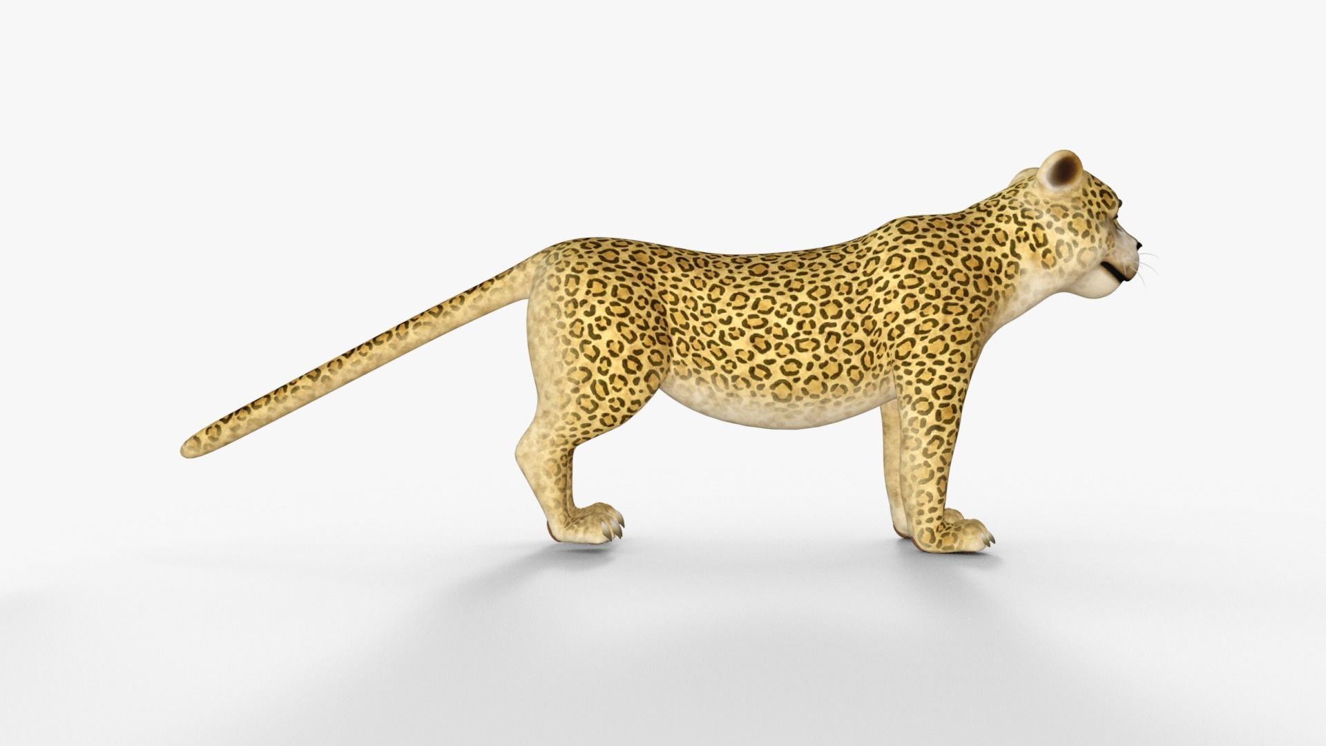 Cartoon Leopard Rigged 3D model_15
