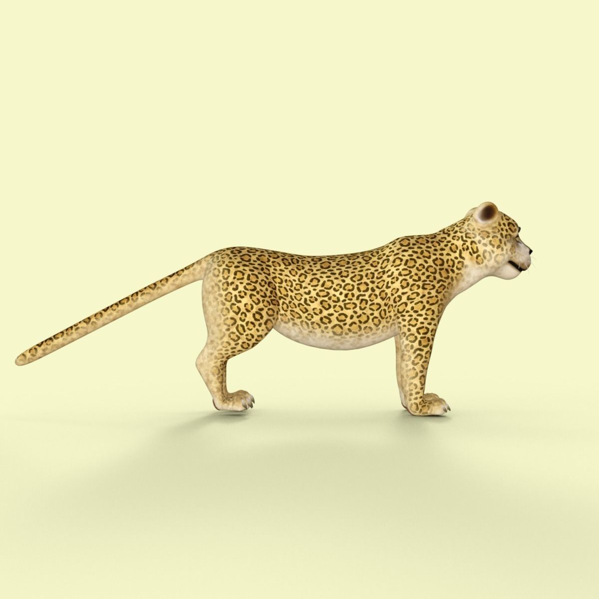 Cartoon Leopard Rigged 3D model_7
