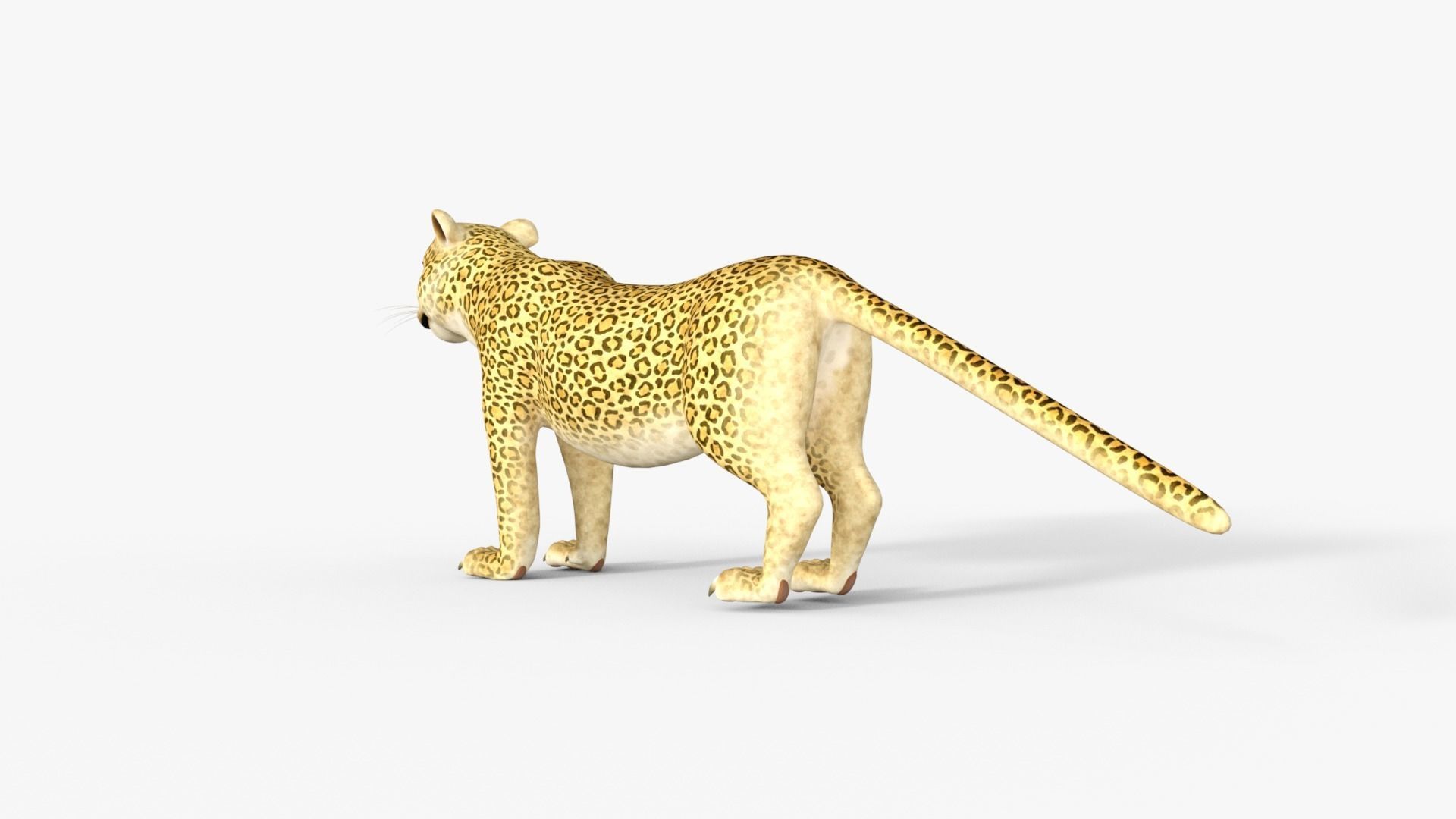 Cartoon Leopard Rigged 3D model_12