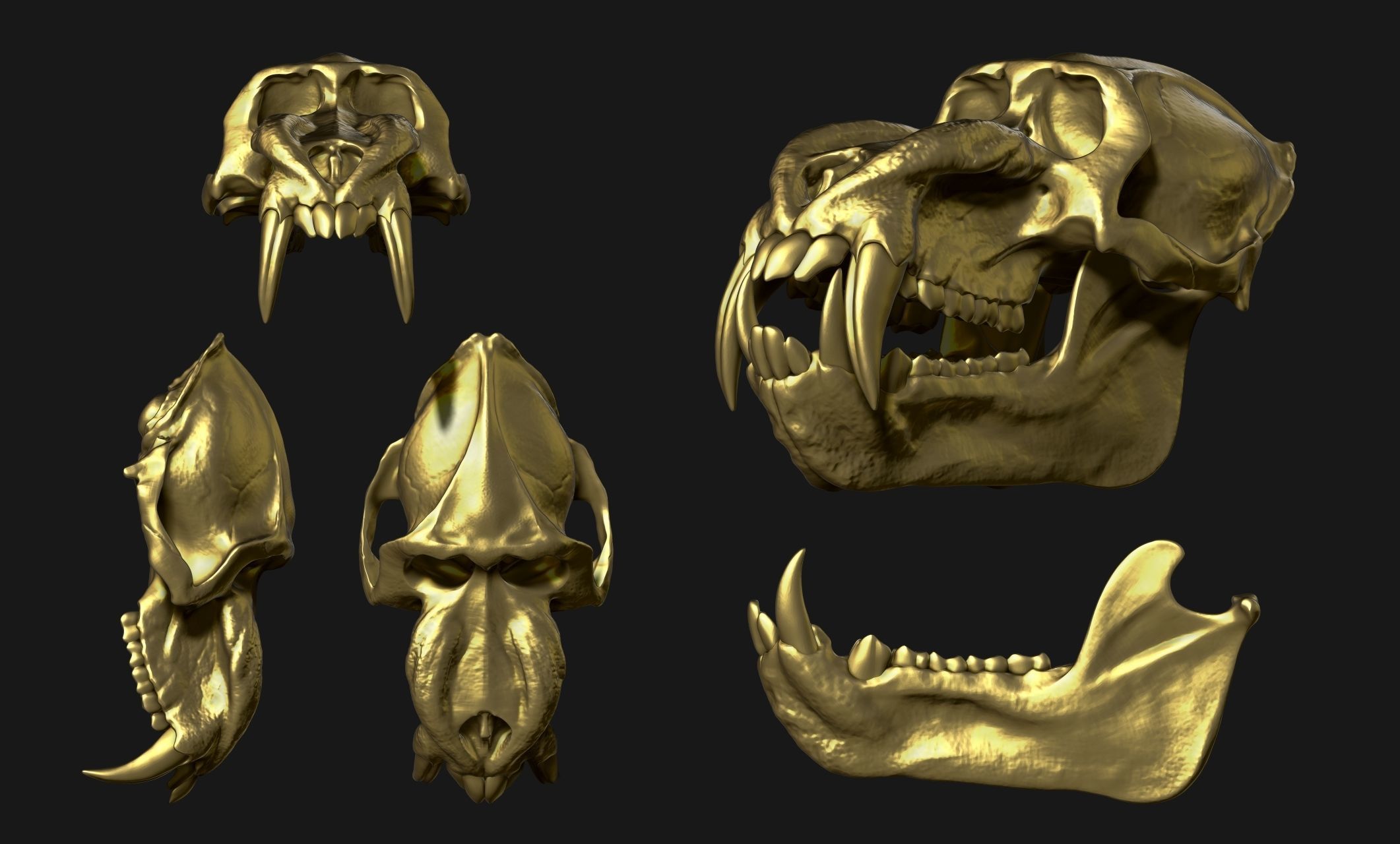 Mandrillus sphinx Skull - CNC and 3D print model_18