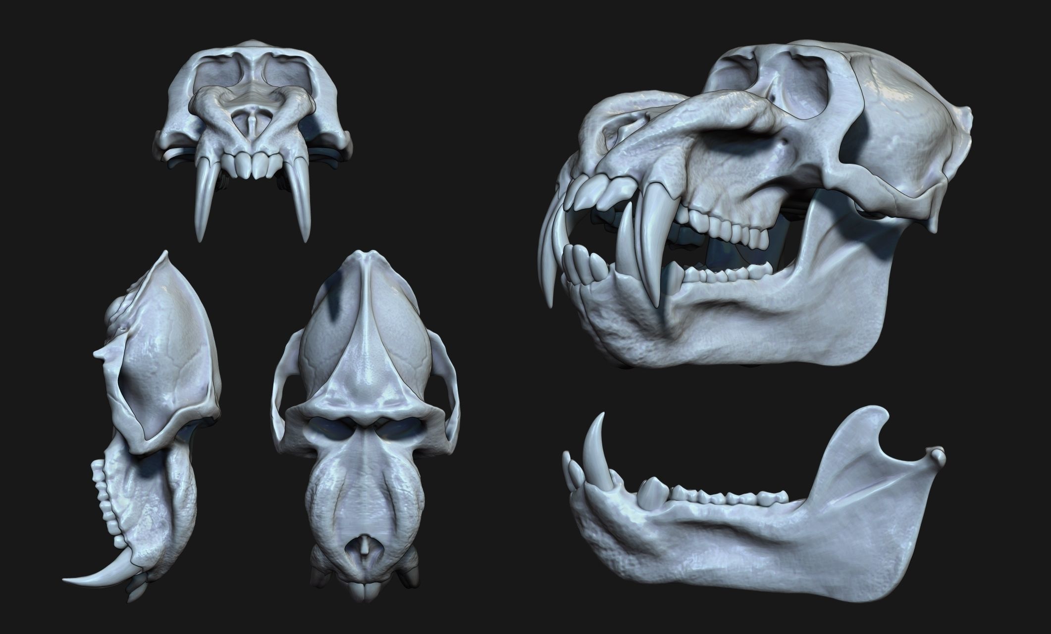 Mandrillus sphinx Skull - CNC and 3D print model_14