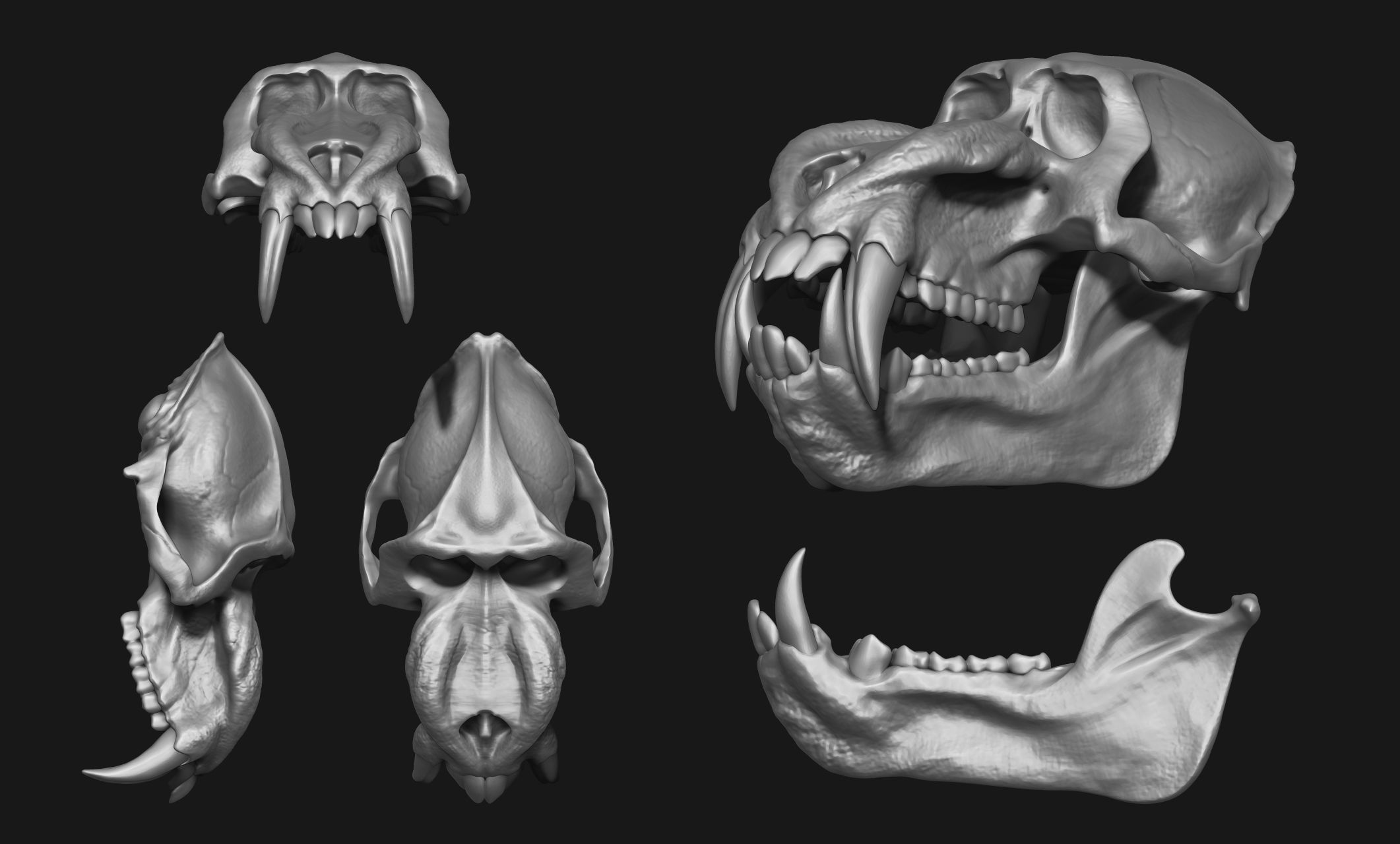 Mandrillus sphinx Skull - CNC and 3D print model_16