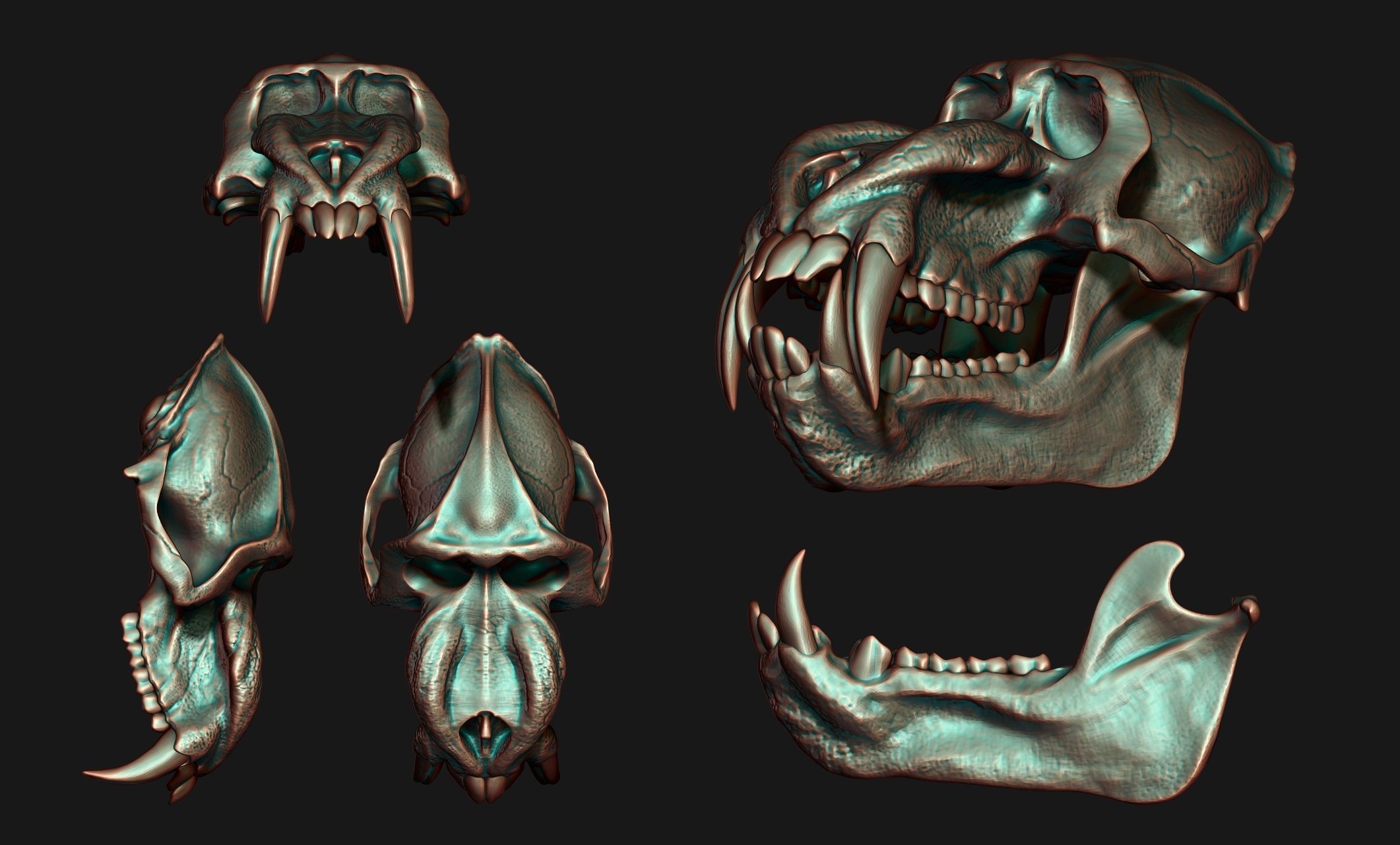 Mandrillus sphinx Skull - CNC and 3D print model_6