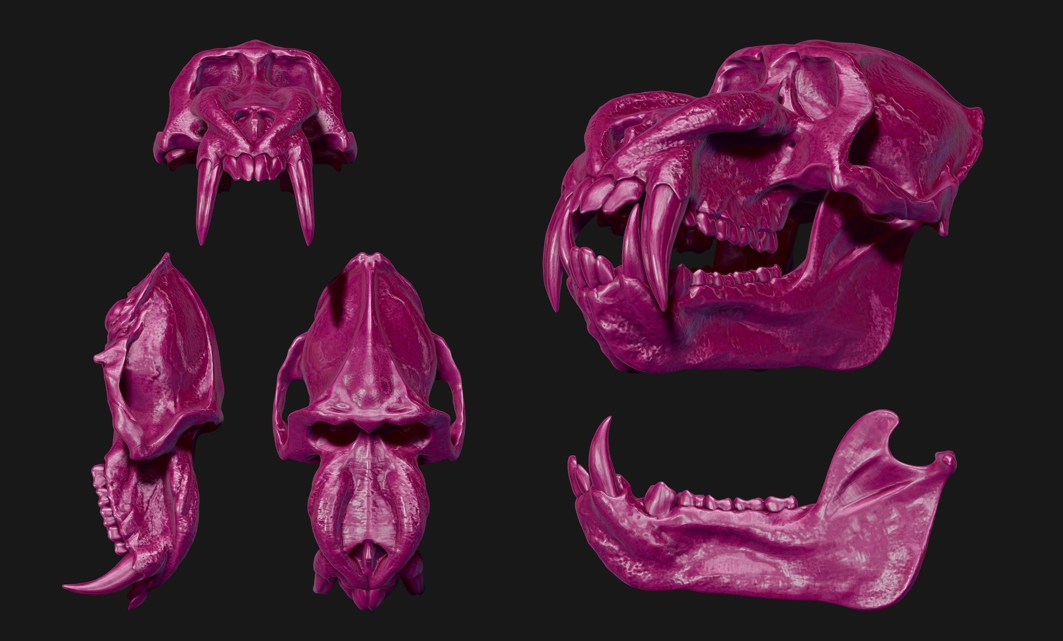 Mandrillus sphinx Skull - CNC and 3D print model_21