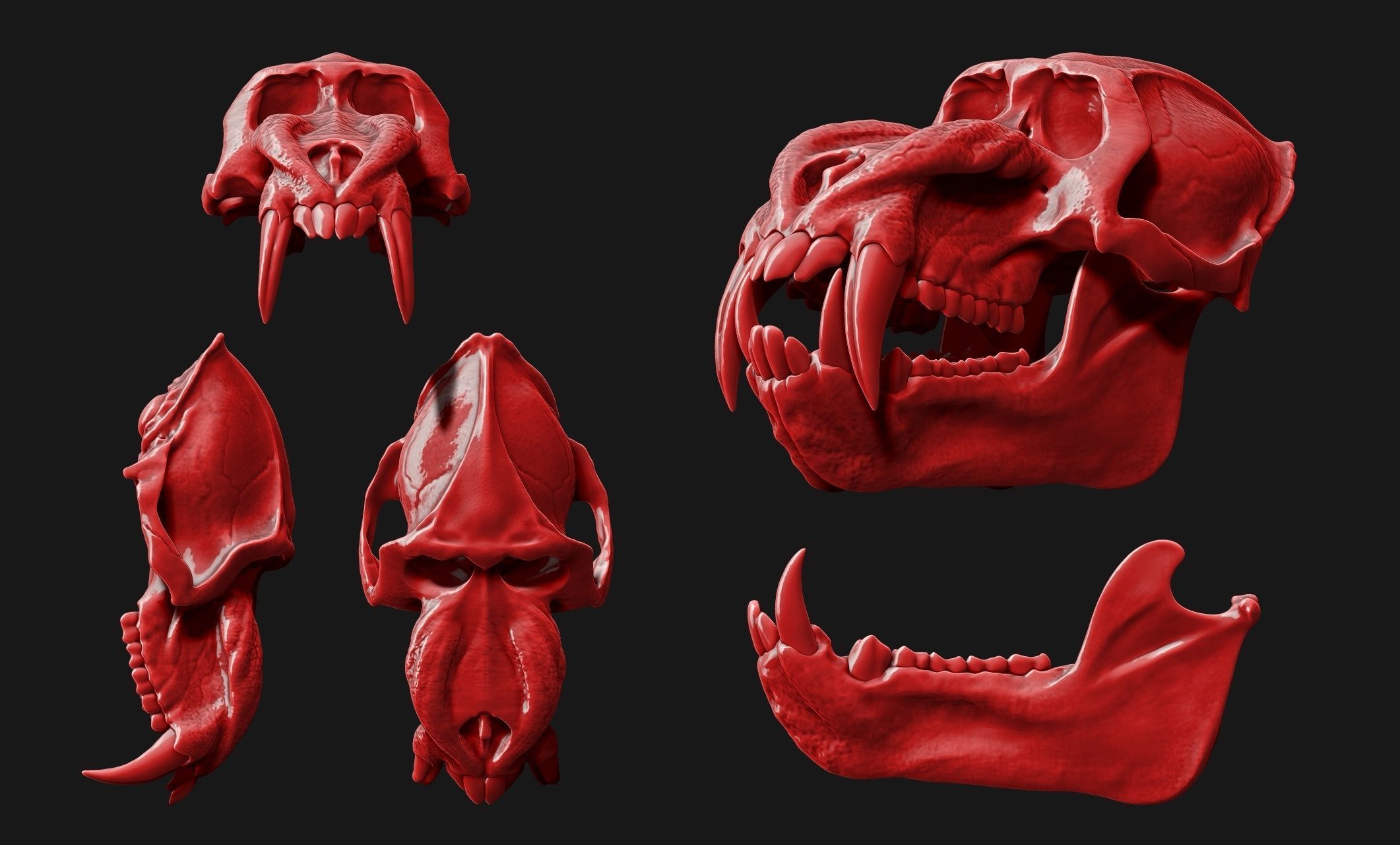 Mandrillus sphinx Skull - CNC and 3D print model_9