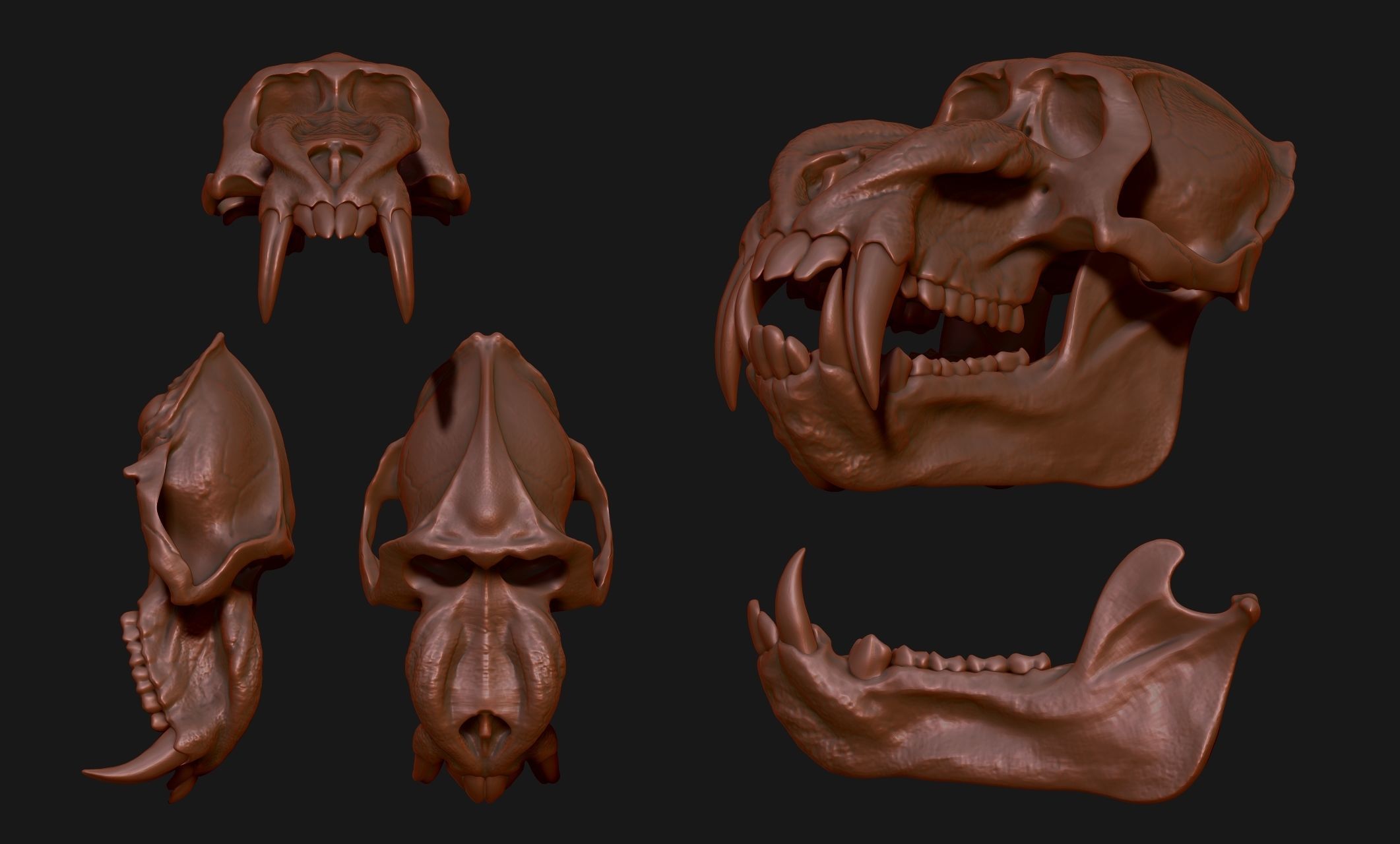 Mandrillus sphinx Skull - CNC and 3D print model_5