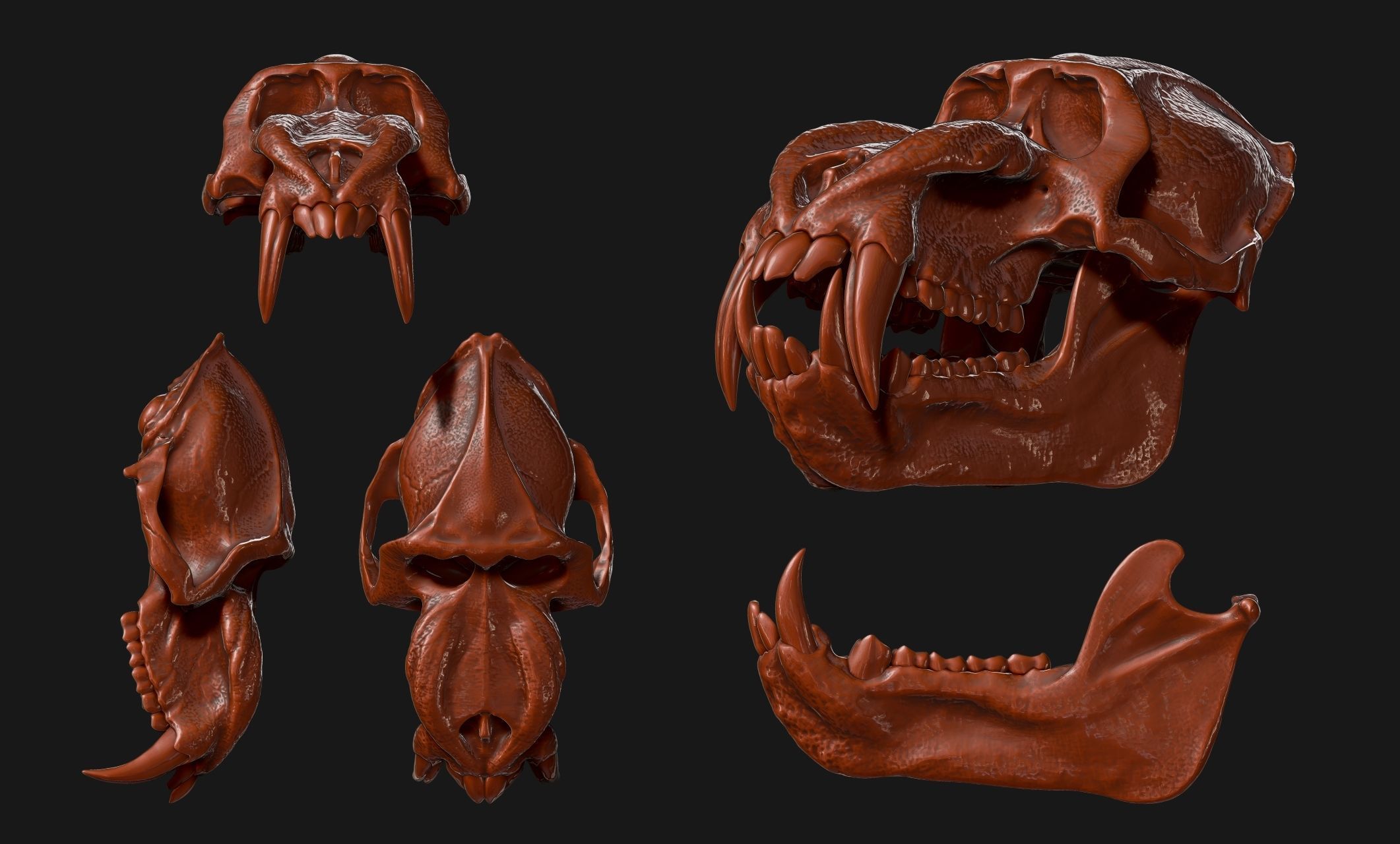 Mandrillus sphinx Skull - CNC and 3D print model_15