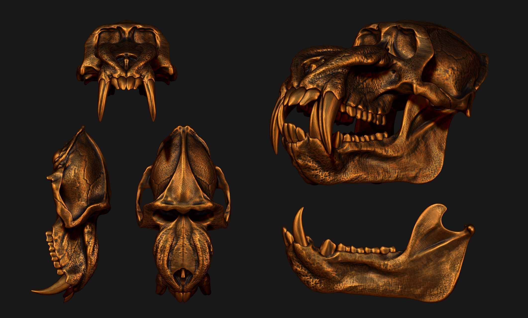 Mandrillus sphinx Skull - CNC and 3D print model_19