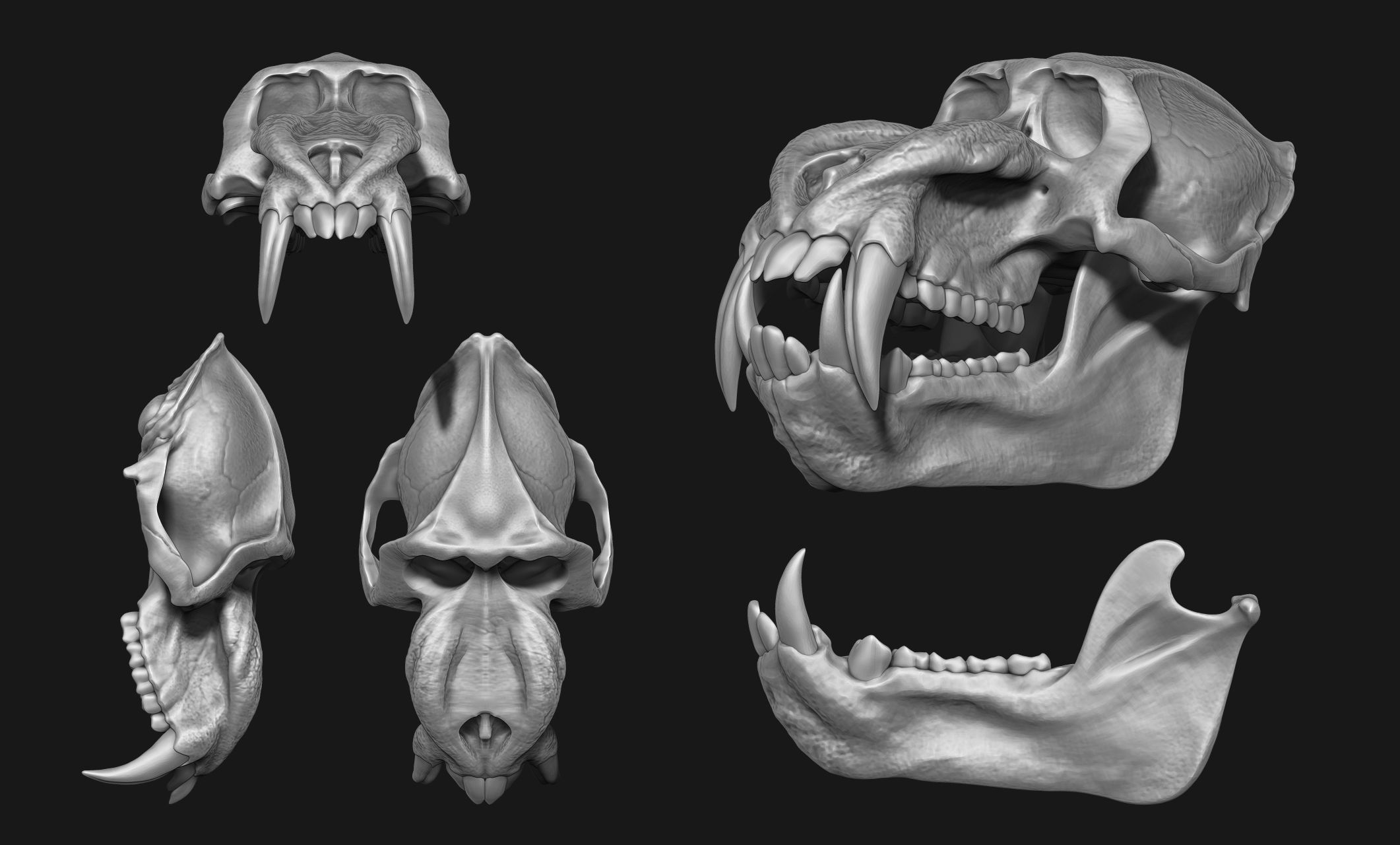 Mandrillus sphinx Skull - CNC and 3D print model_2
