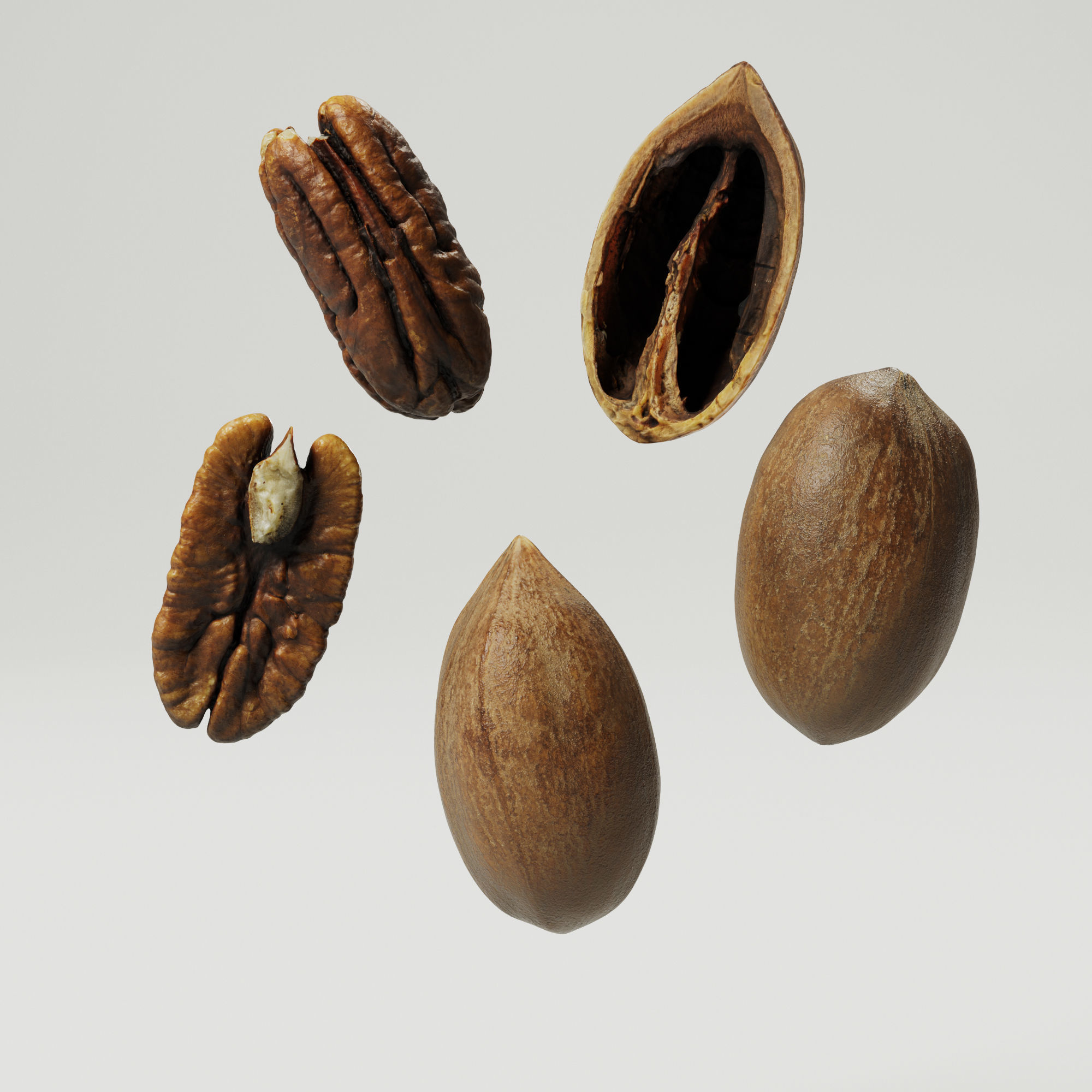 Pecans 3D model_4