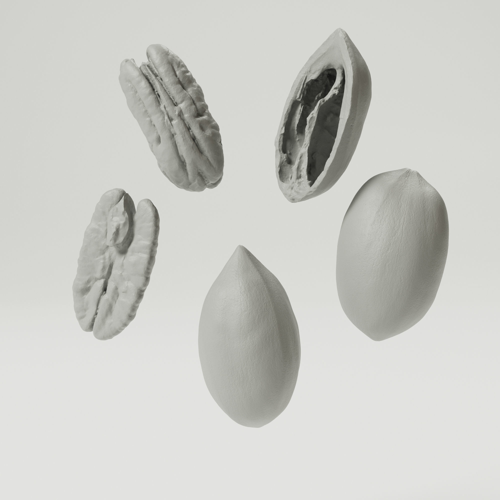 Pecans 3D model_3