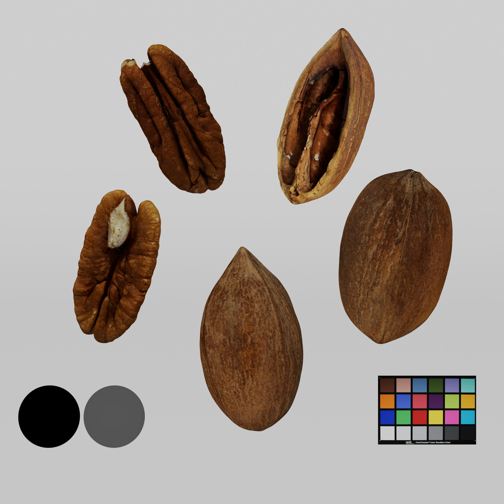 Pecans 3D model_2