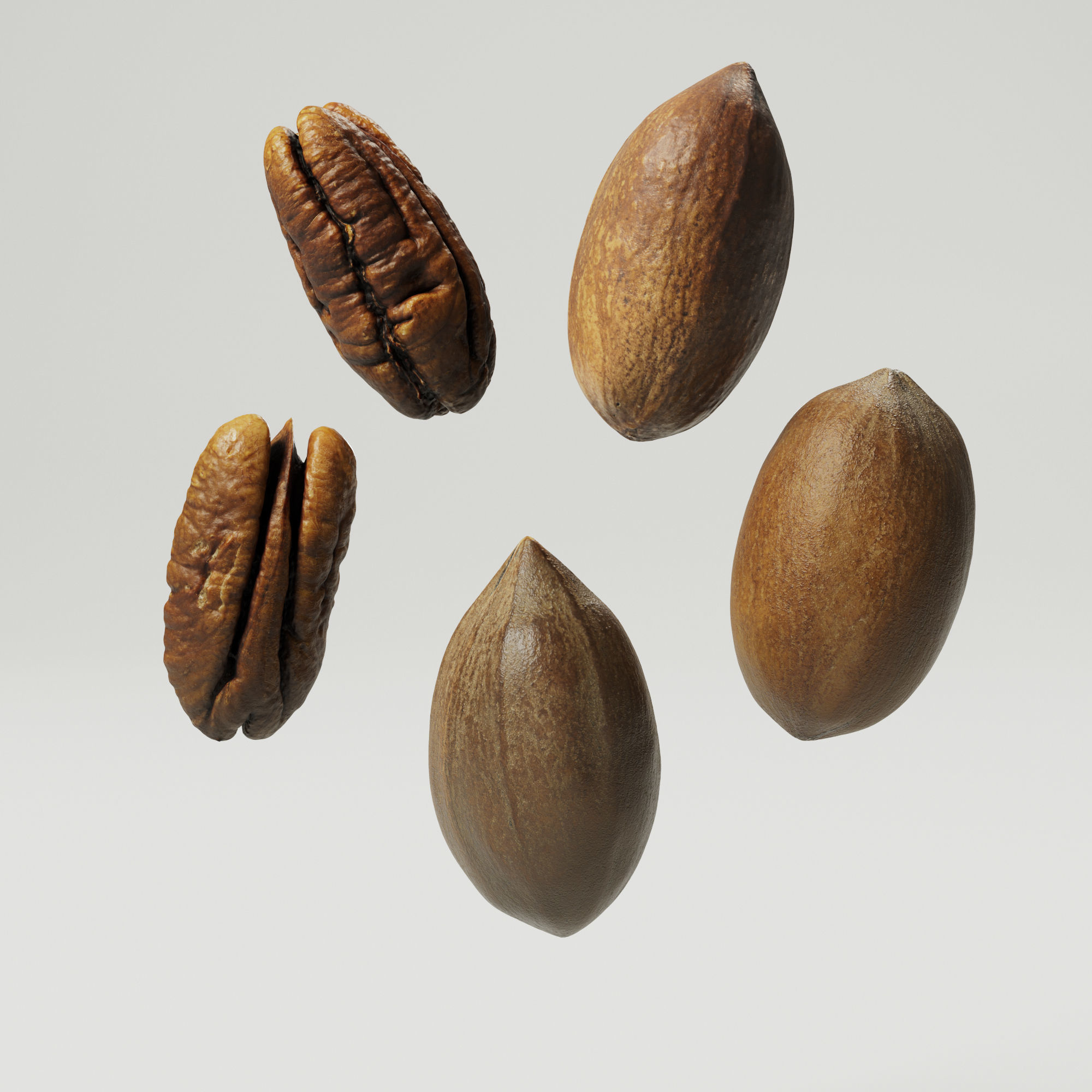 Pecans 3D model_5