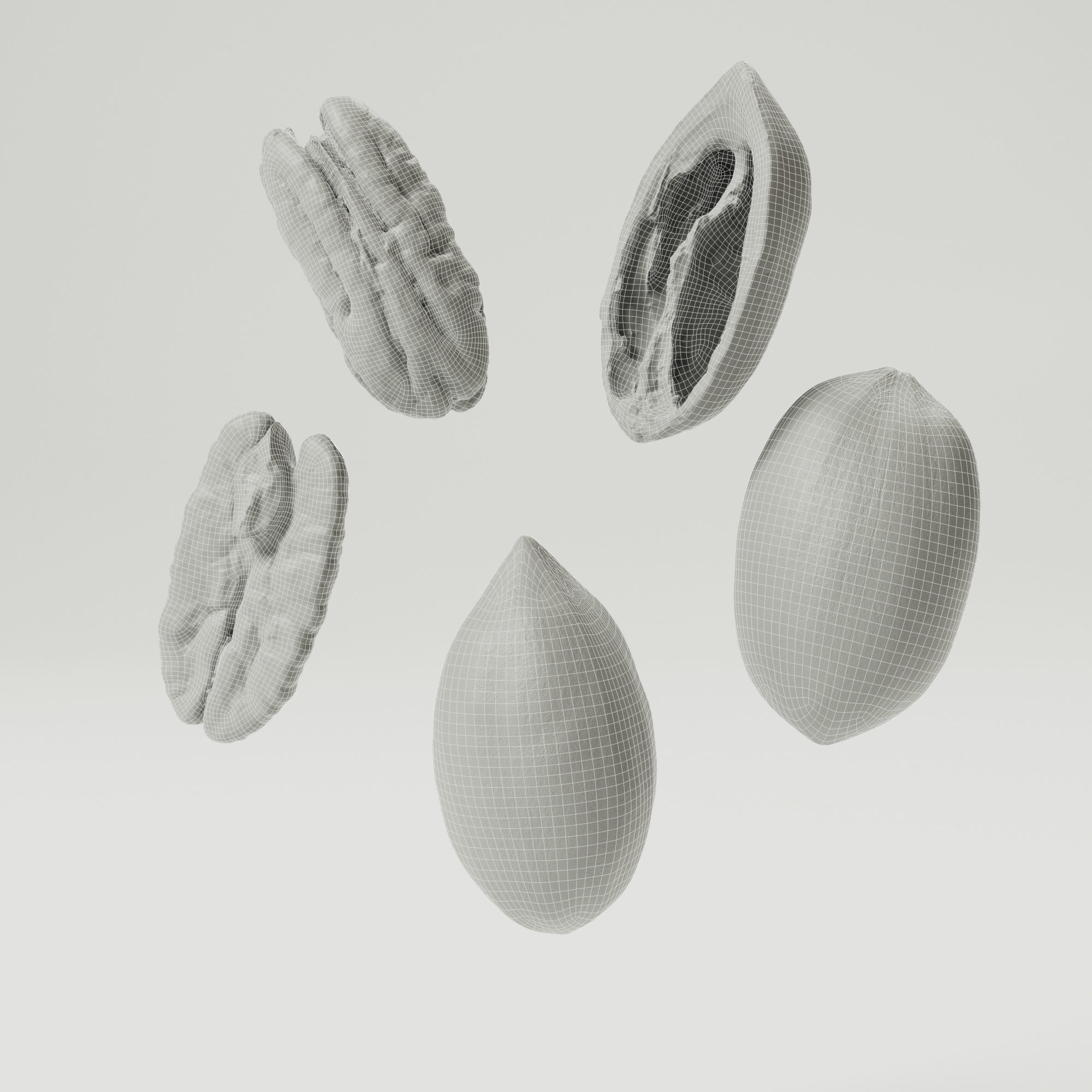 Pecans 3D model_1