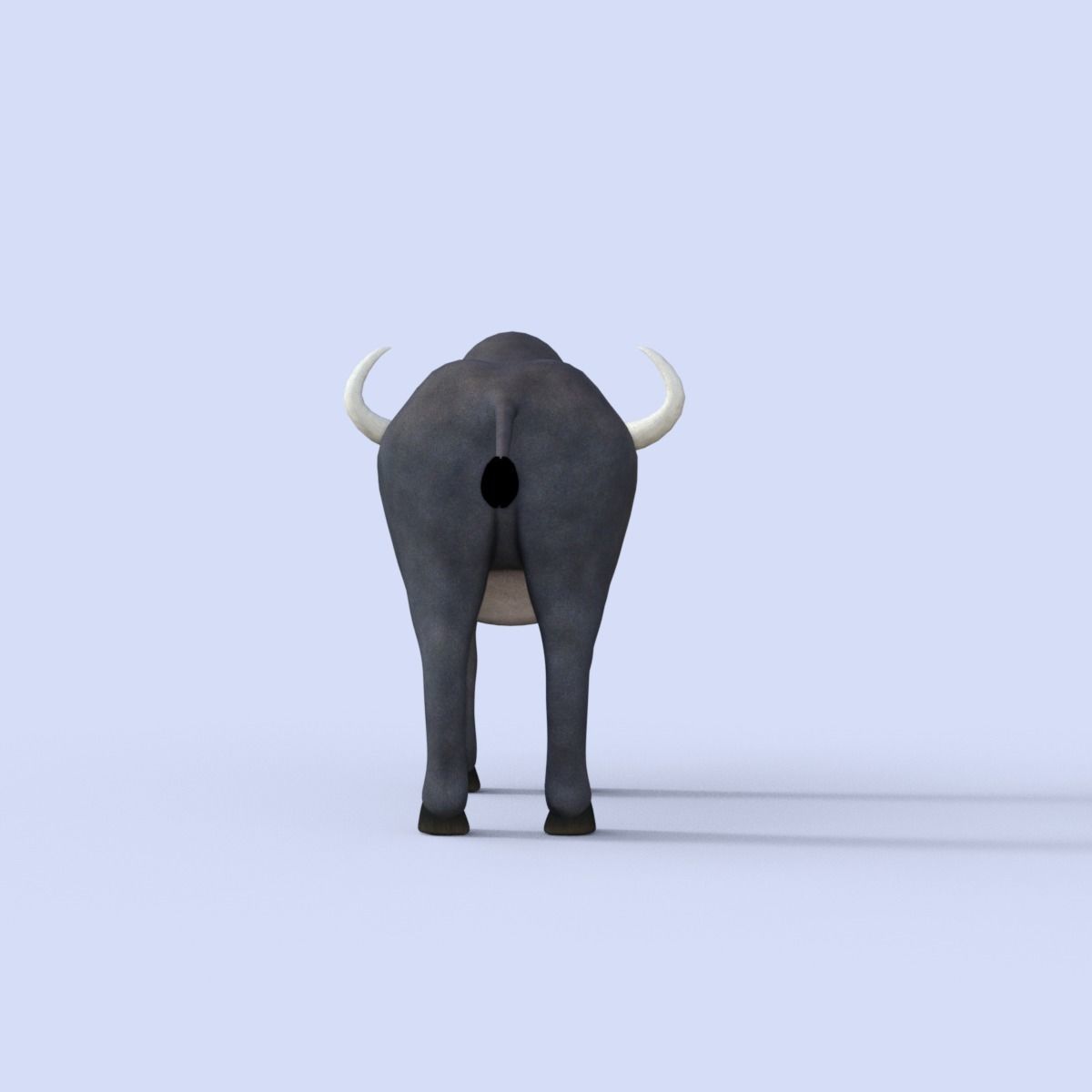 Cartoon Buffalo Rigged 3D model_5