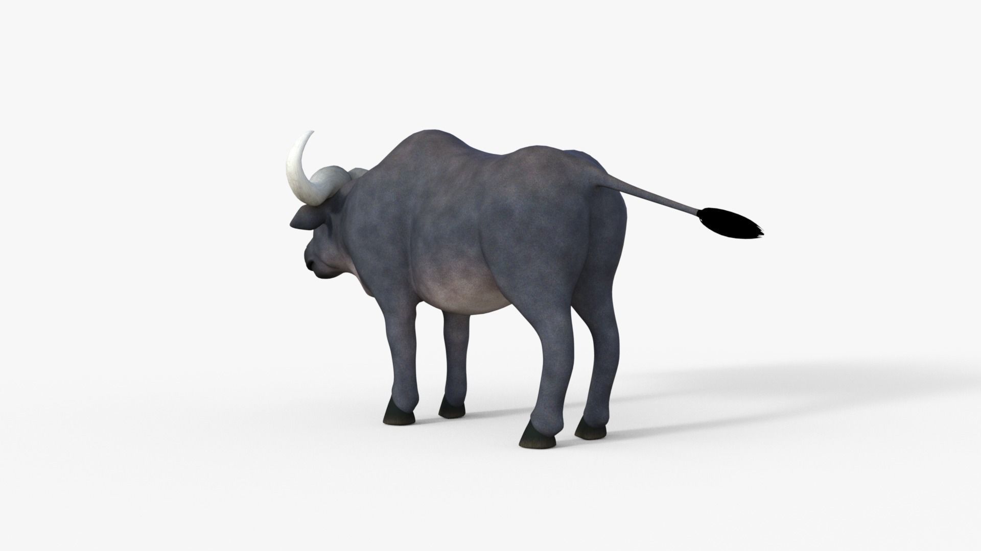 Cartoon Buffalo Rigged 3D model_12