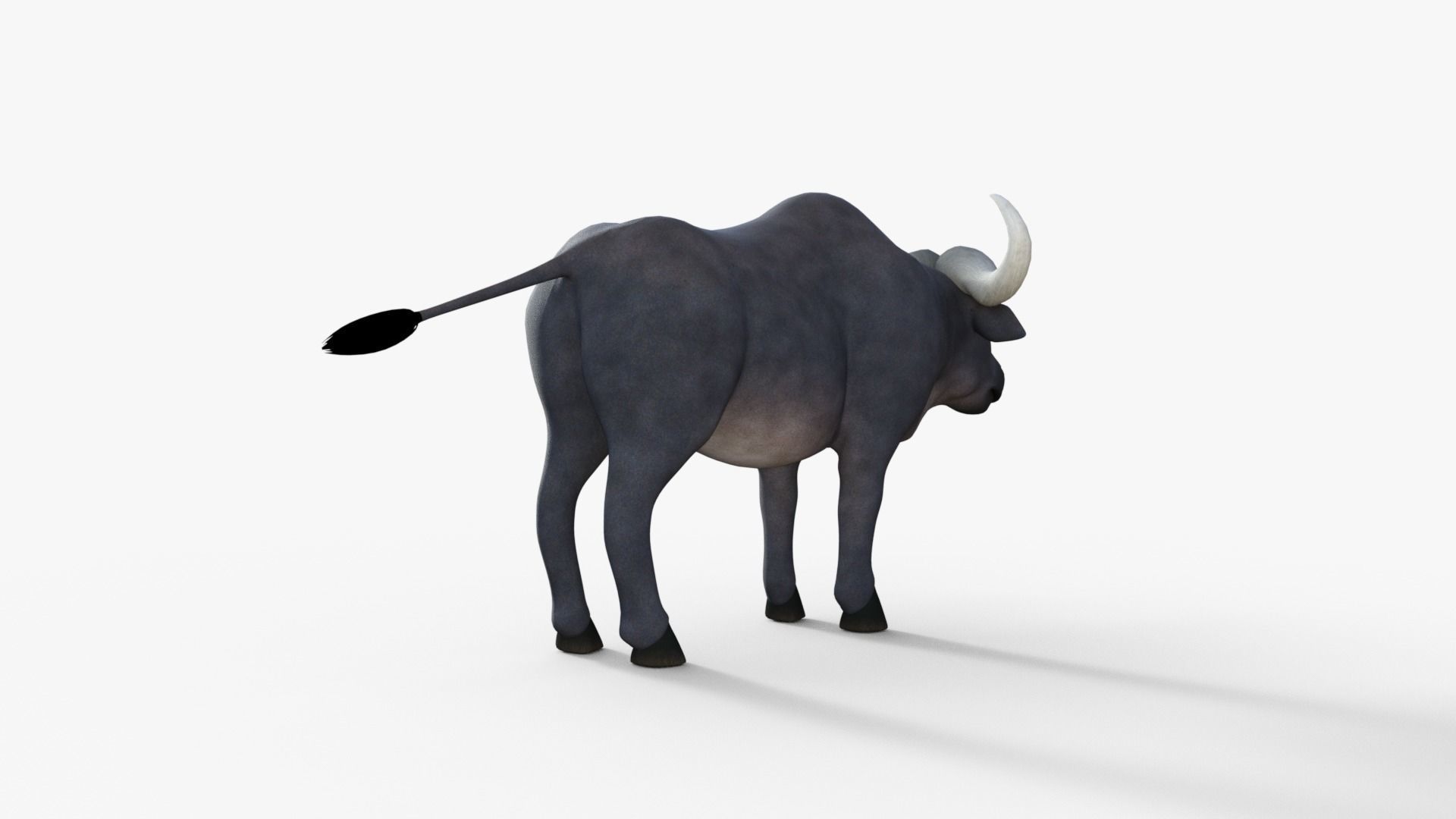 Cartoon Buffalo Rigged 3D model_14