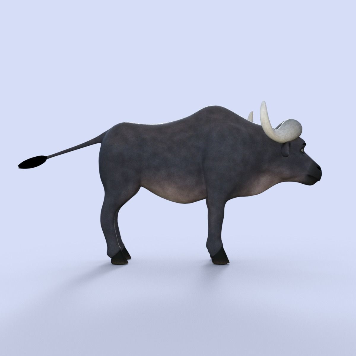 Cartoon Buffalo Rigged 3D model_7