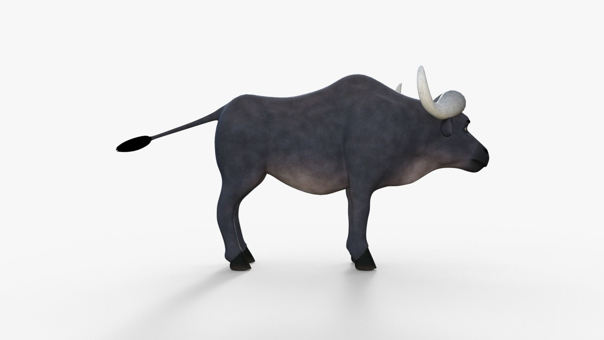 Cartoon Buffalo Rigged 3D model_15