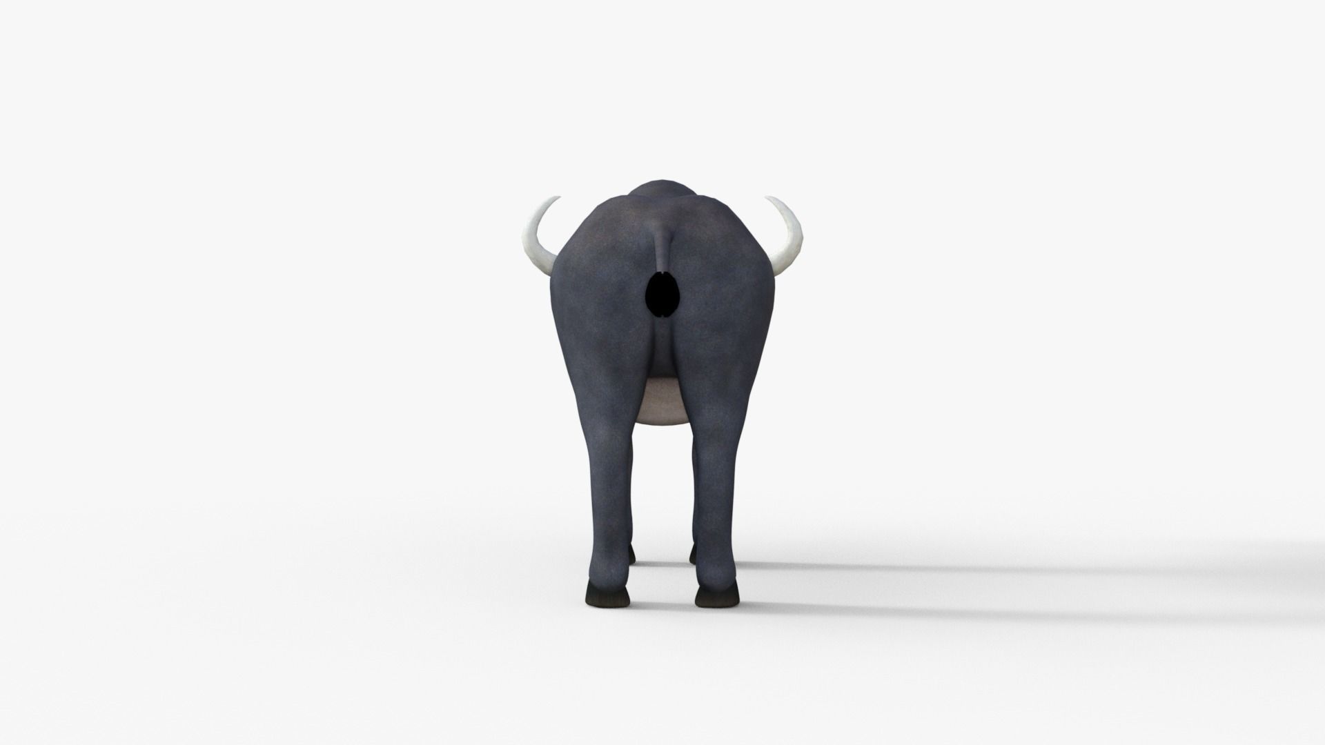 Cartoon Buffalo Rigged 3D model_13